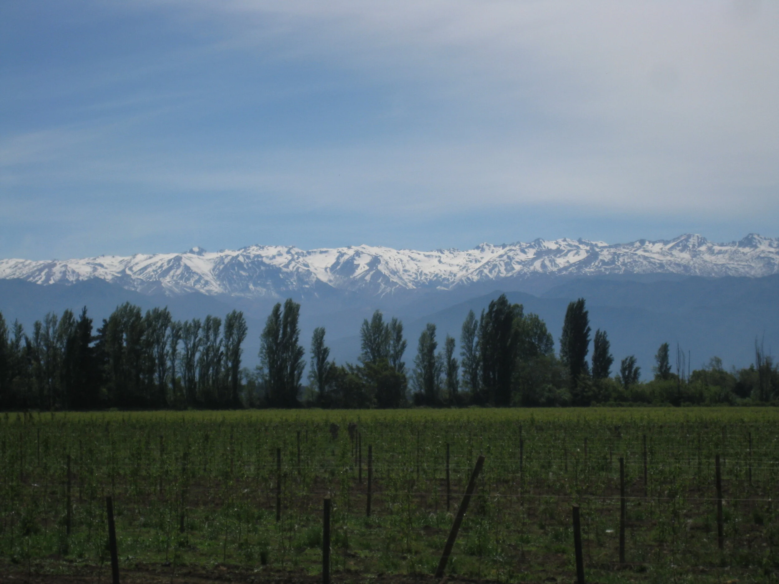  Chile--Curico--Farms and the Andes 
