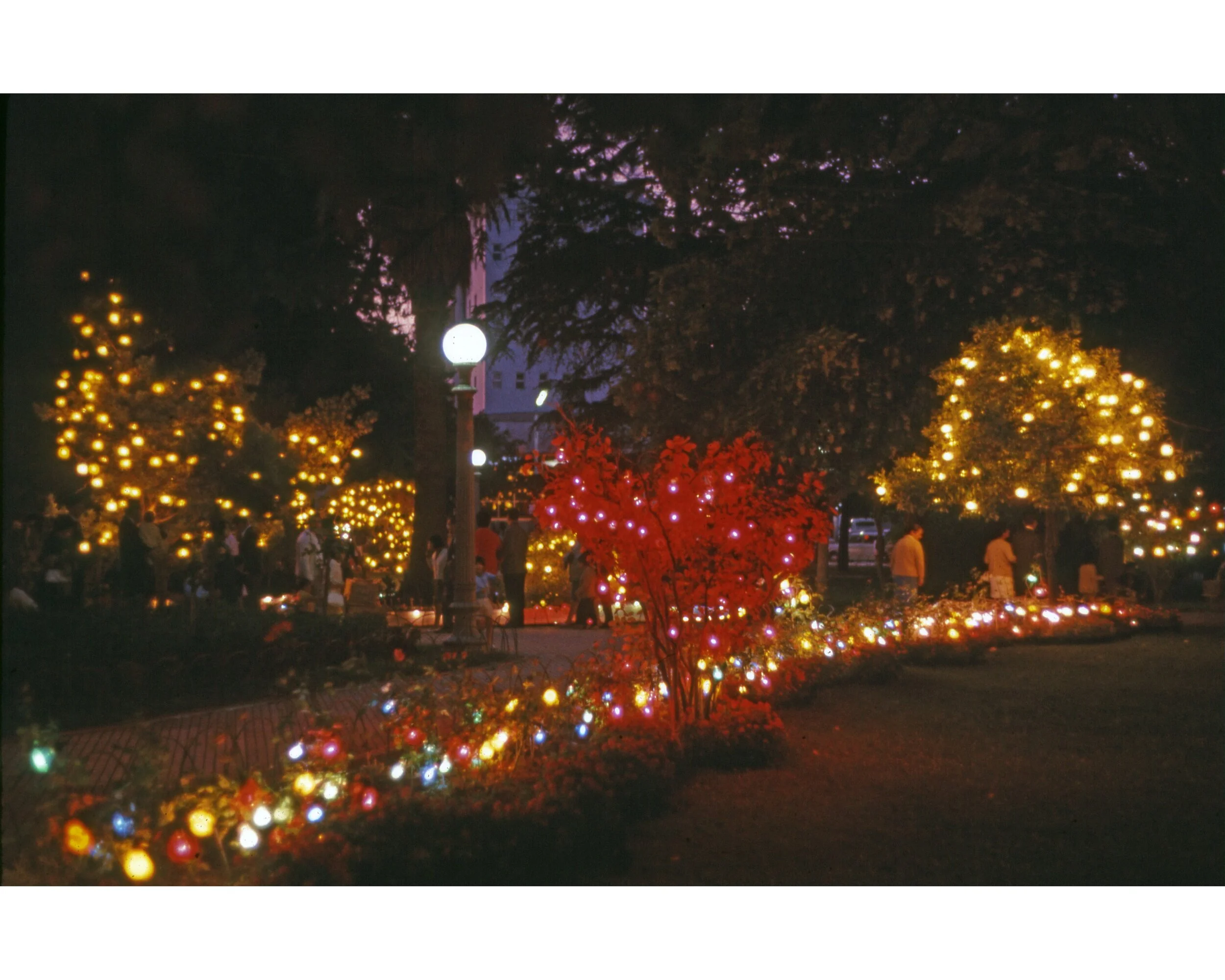  Navidad 1967	Vina del Mar--Plaza 