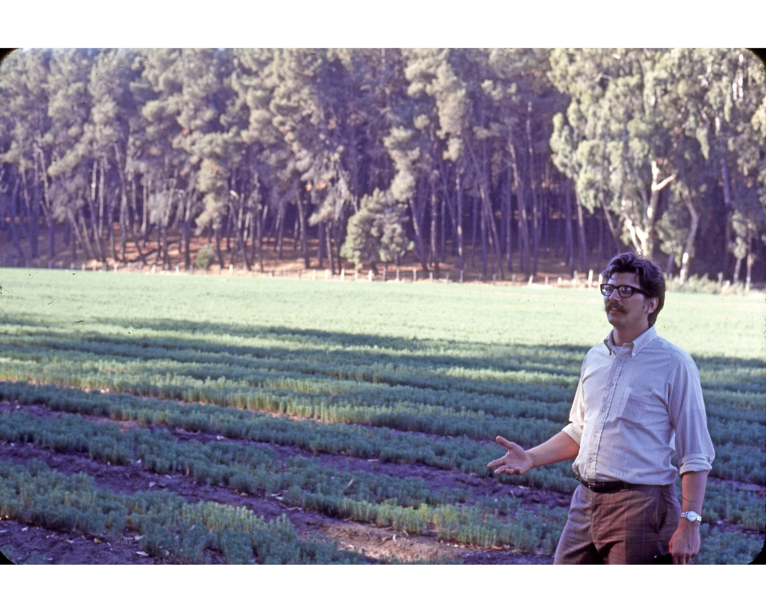  Febrero 1971	Llico (Curico)--Vivero Forestal--Karl K. Kindel  