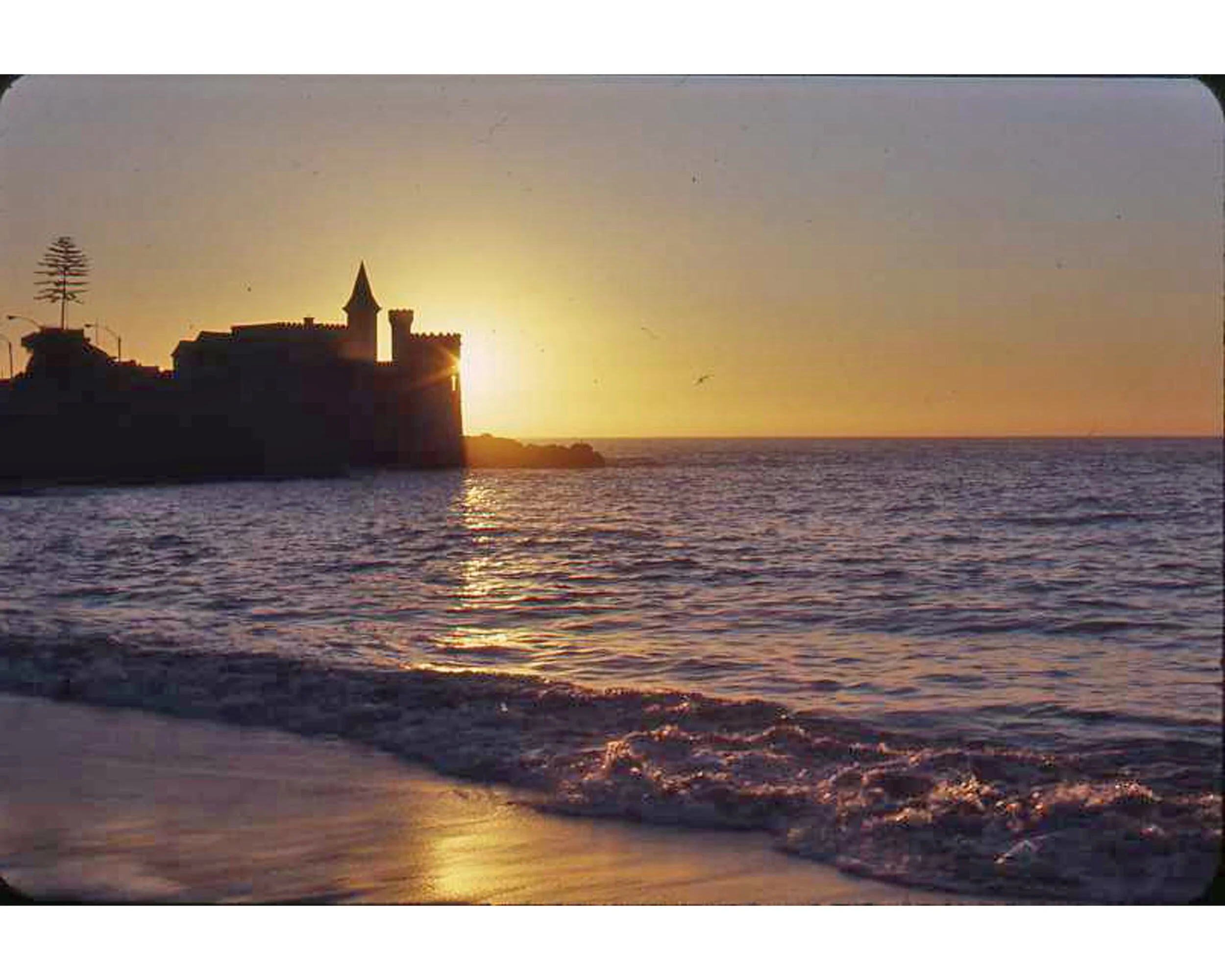  Febrero 1971	Vina del Mar- 