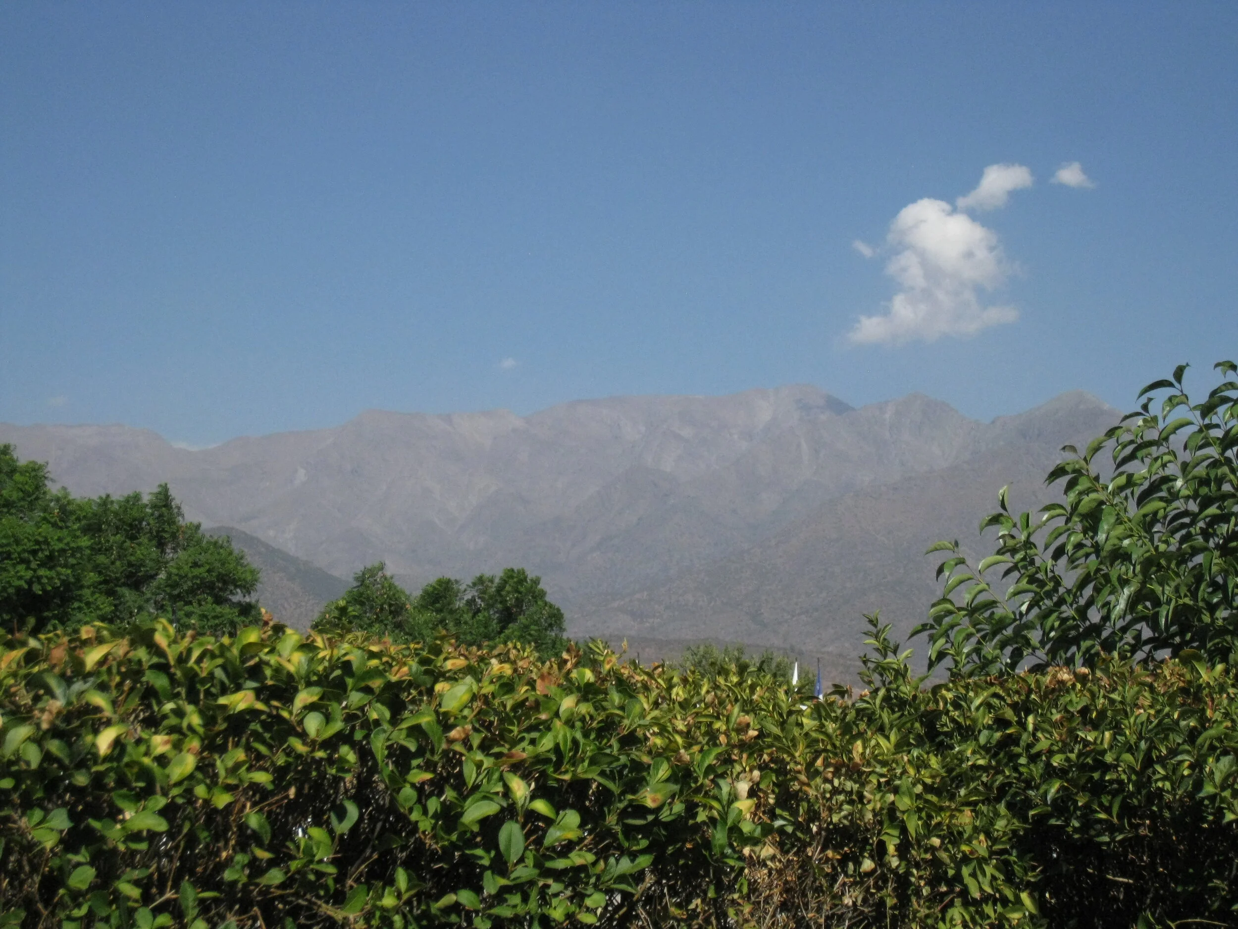  Santiago--The Andes from Los Dominicos 