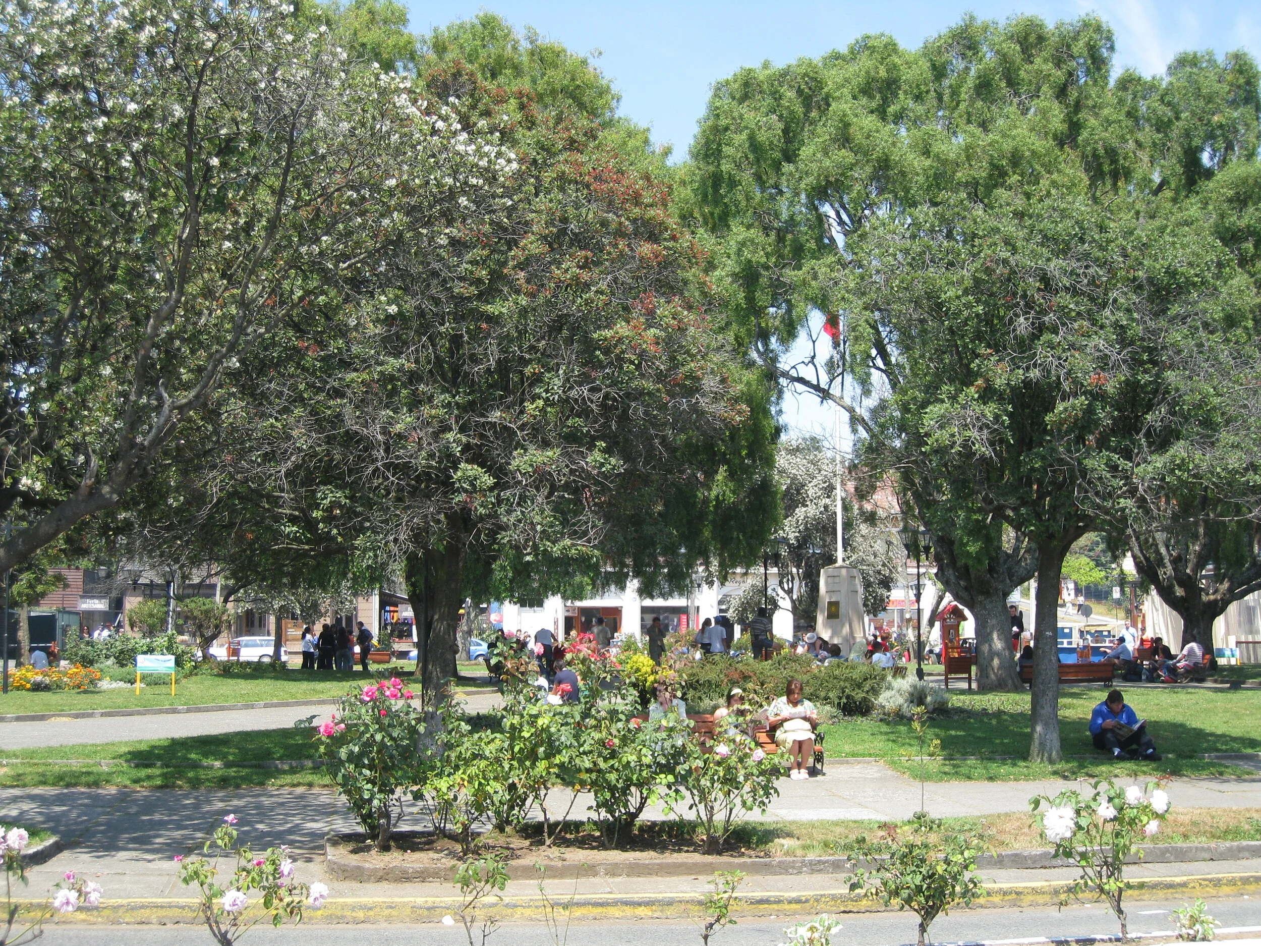  Puerto Varas--Plaza 