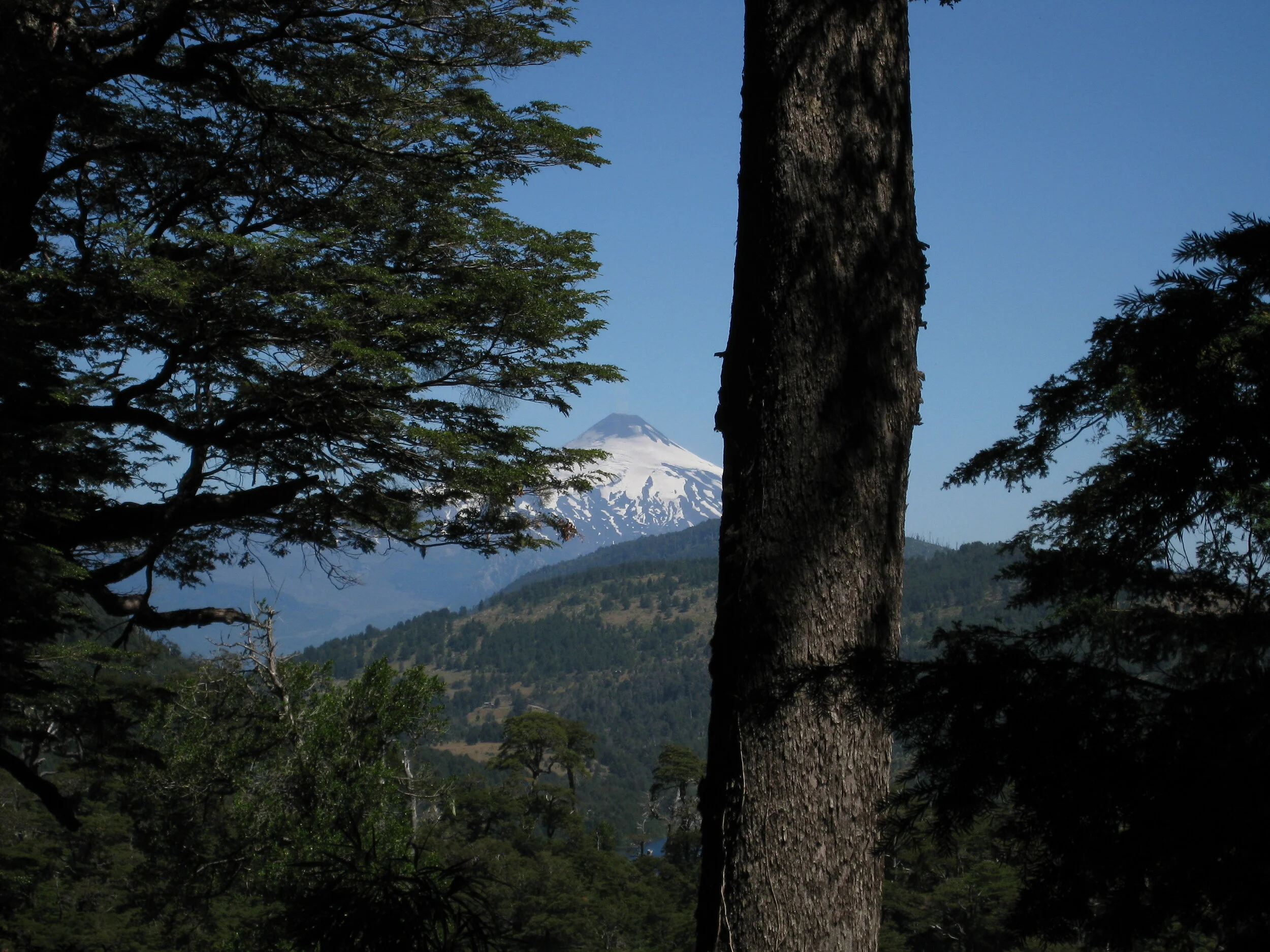  Huerquehue National Park--Hike--Volcan Villarrica 