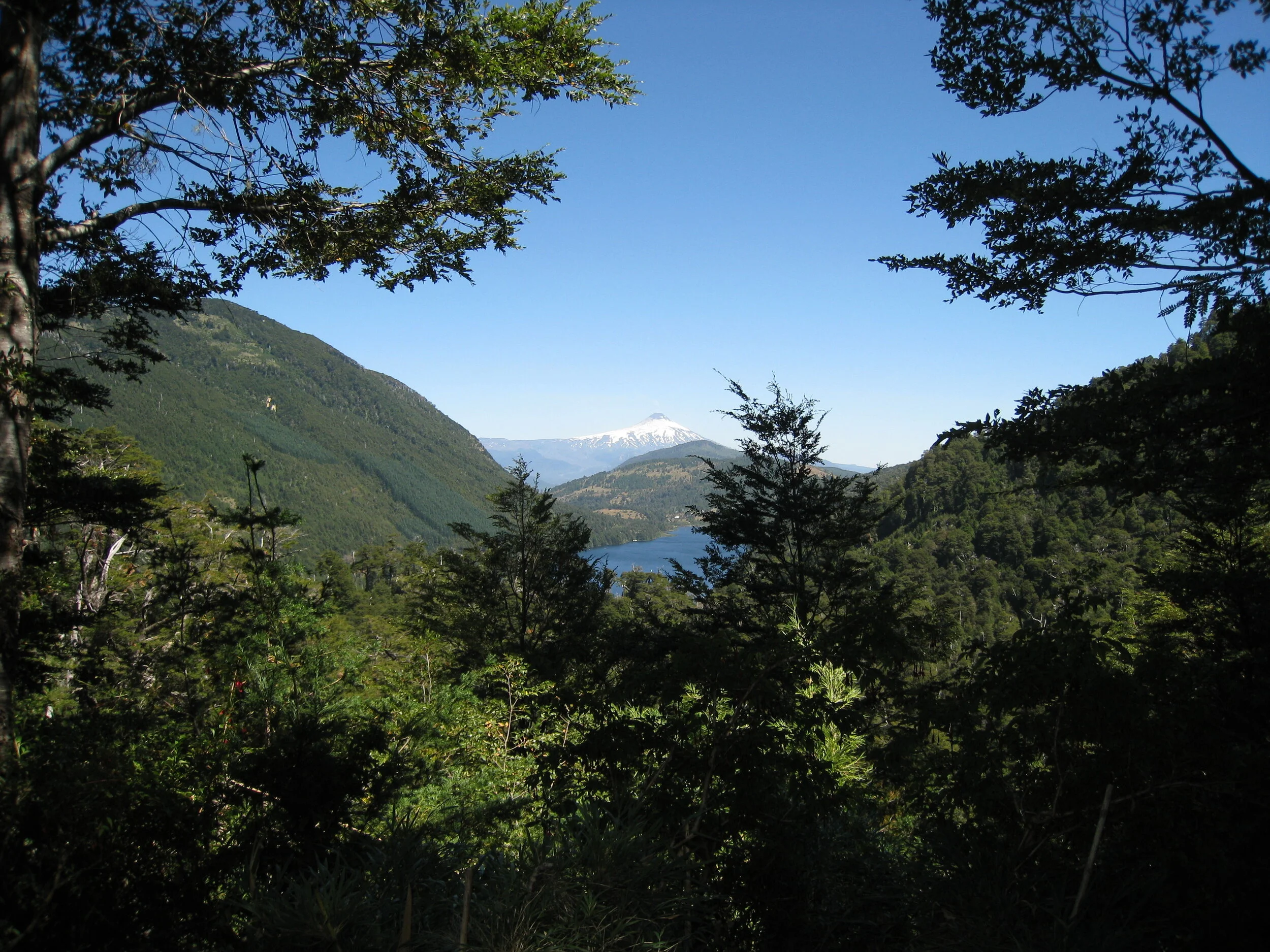  Huerquehue National Park--Hike--Lake Caburga and Volcan Villarrica 