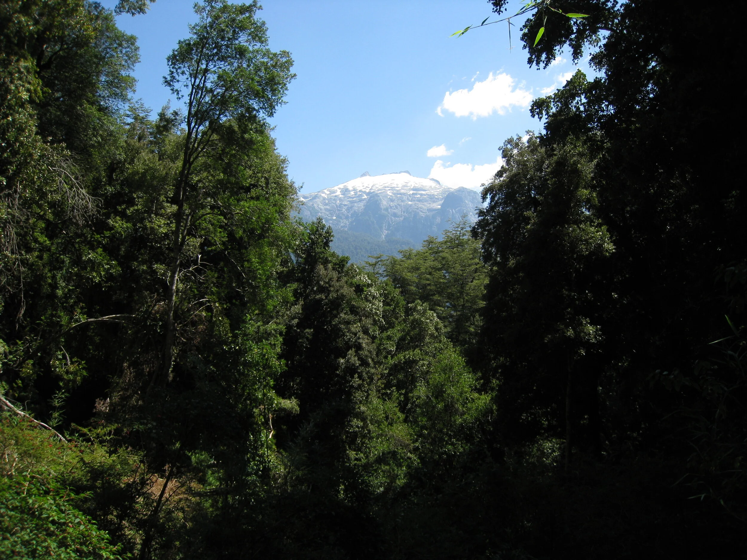  Peulla--Hiking 