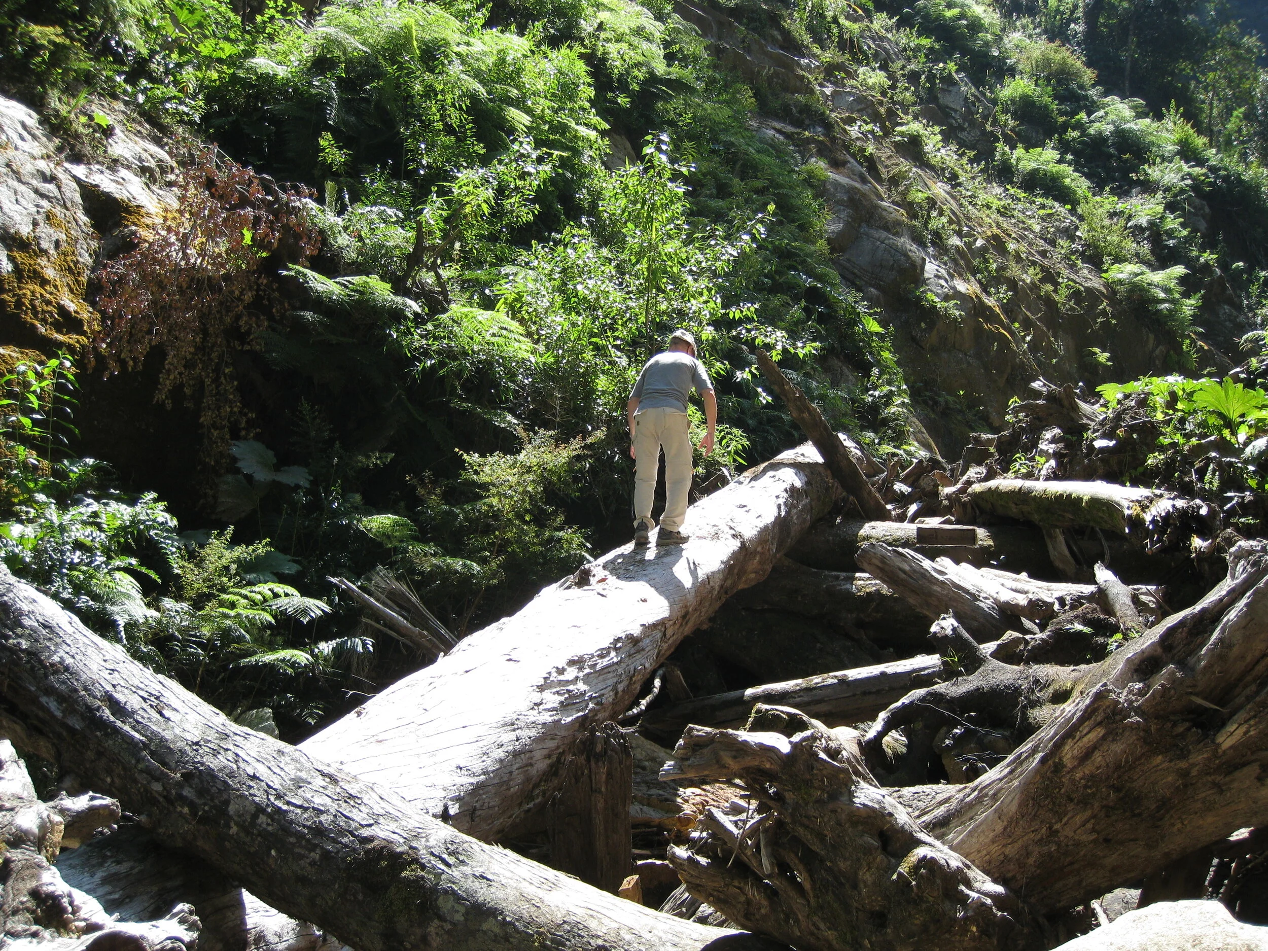  Peulla--Harald climbing on hike 