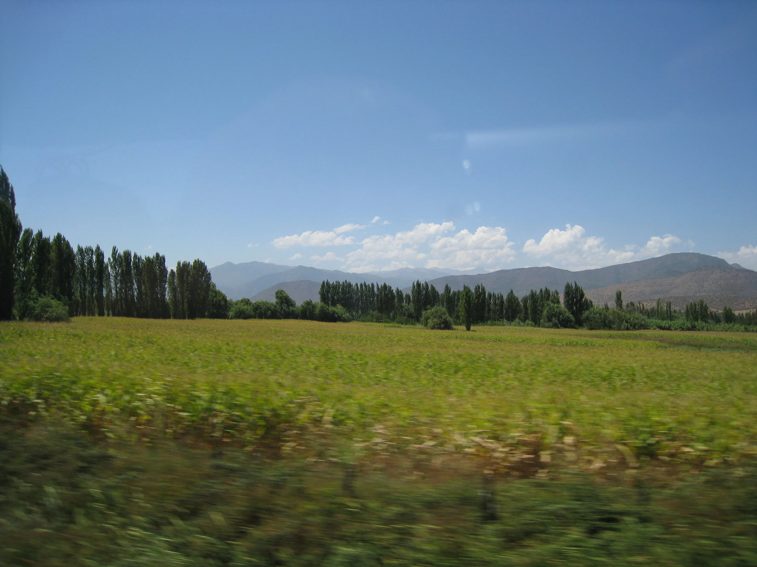  On the road (Ruta 5) between Curico and Santiago 