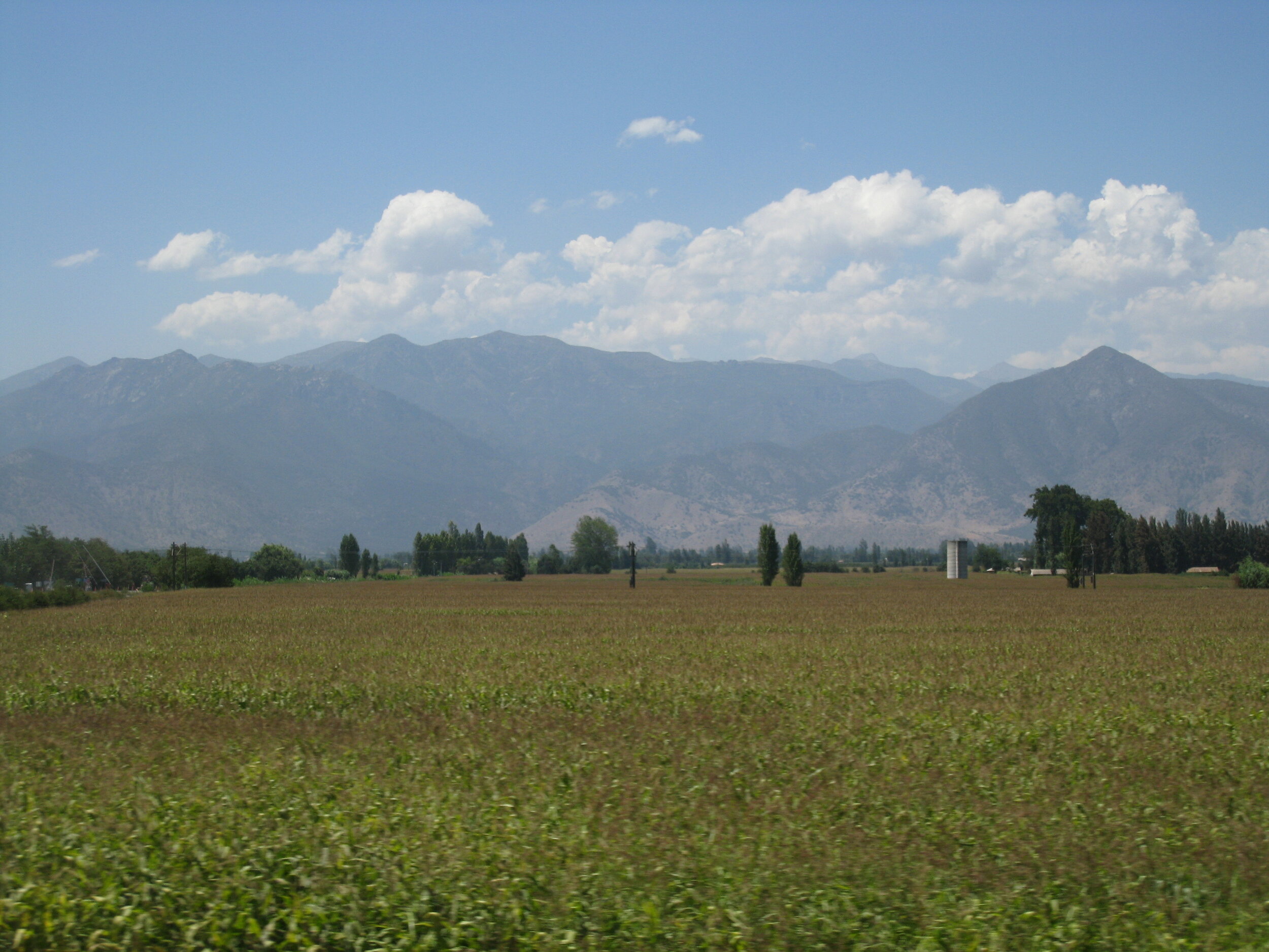 On the road between Curico and Santiago 