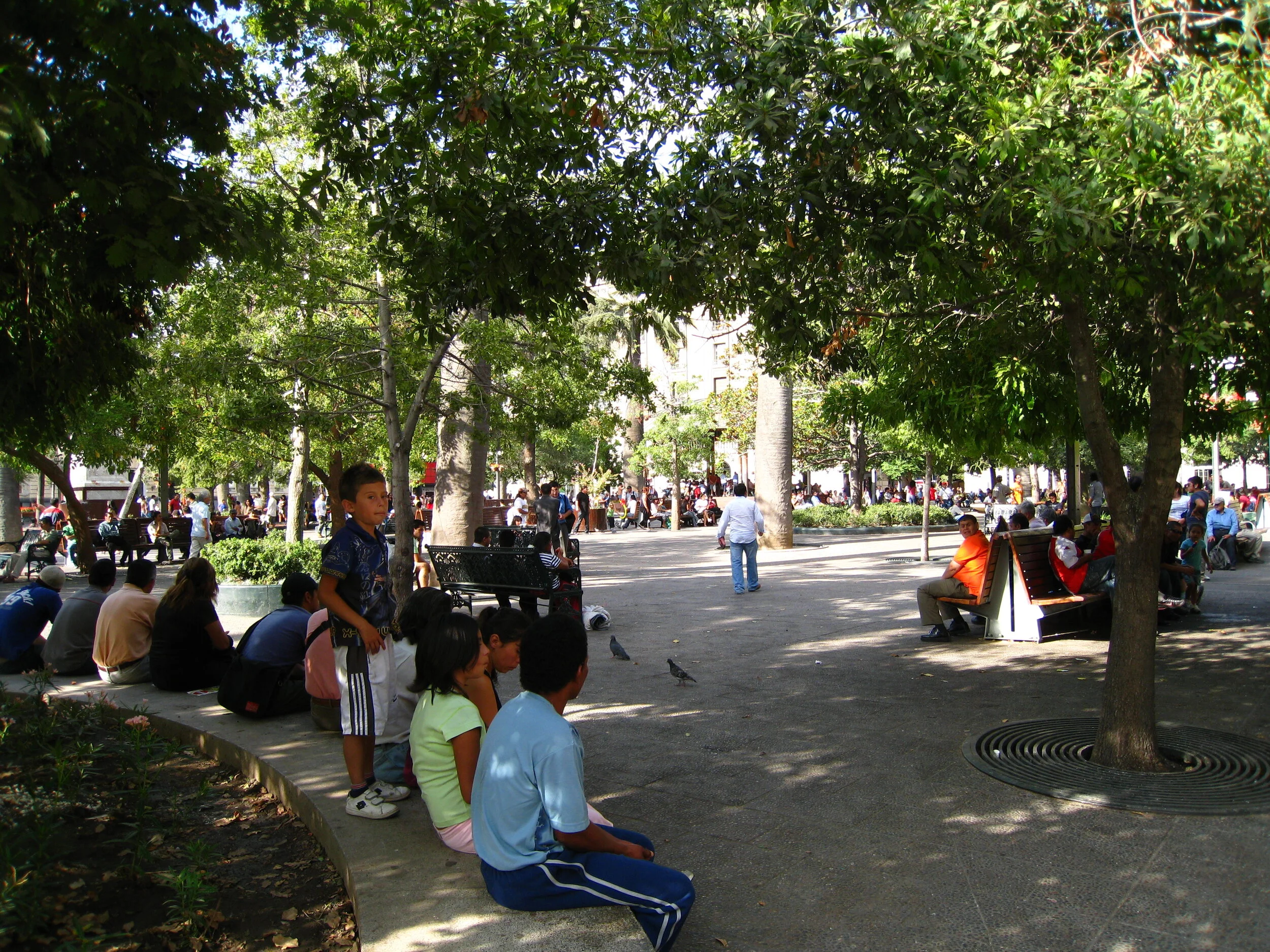  Plaza de Armas--Santiago 