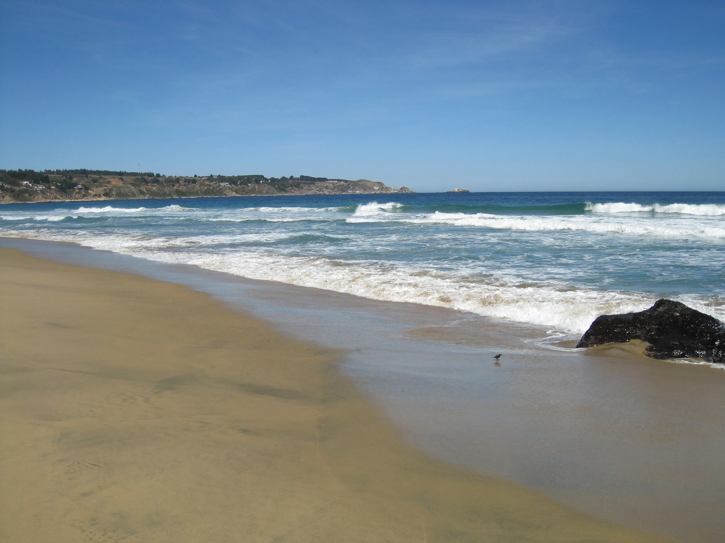  Quintay beach near Valparaiso on a visit with Inge and Guenter Roesch 