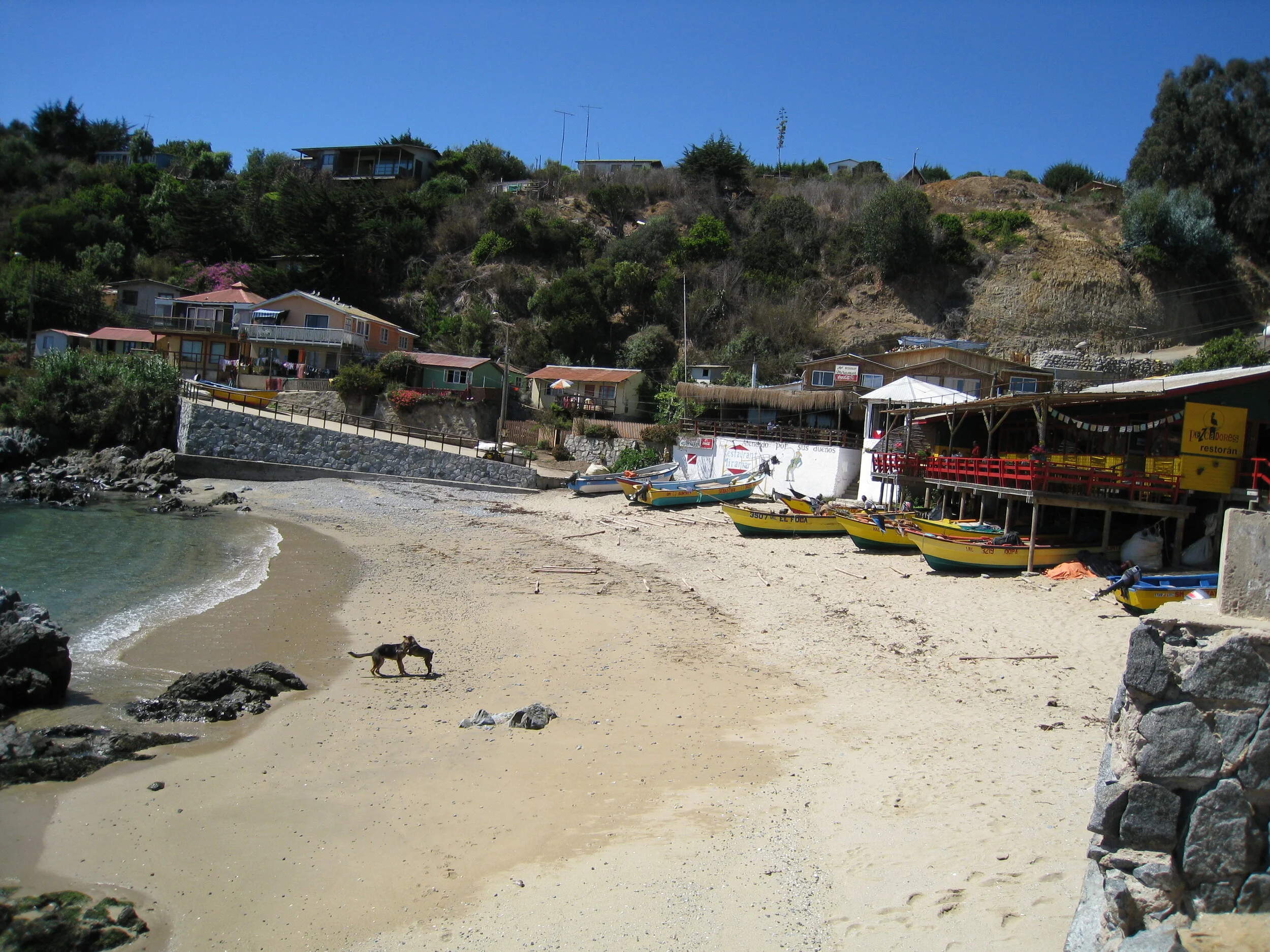  Quintay, near Valparaiso on a visit with Inge and Guenter Roesch 