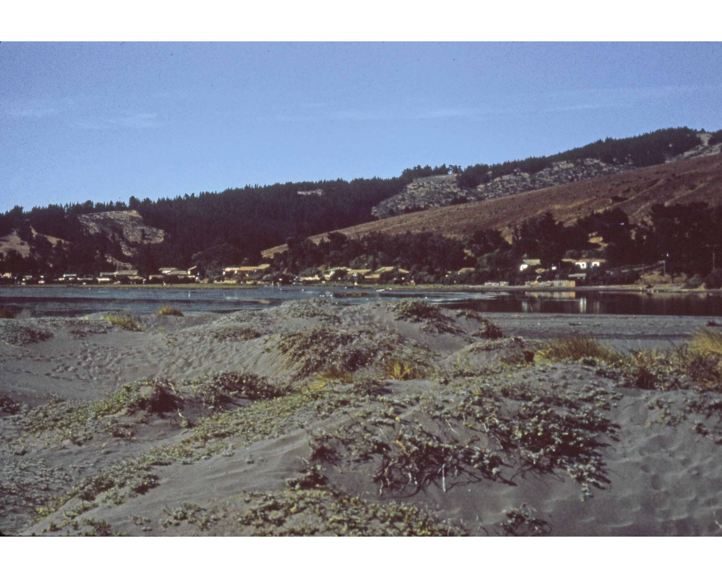  Febrero 1982	Llico (Curico)--Pueblo desde el Vivero  