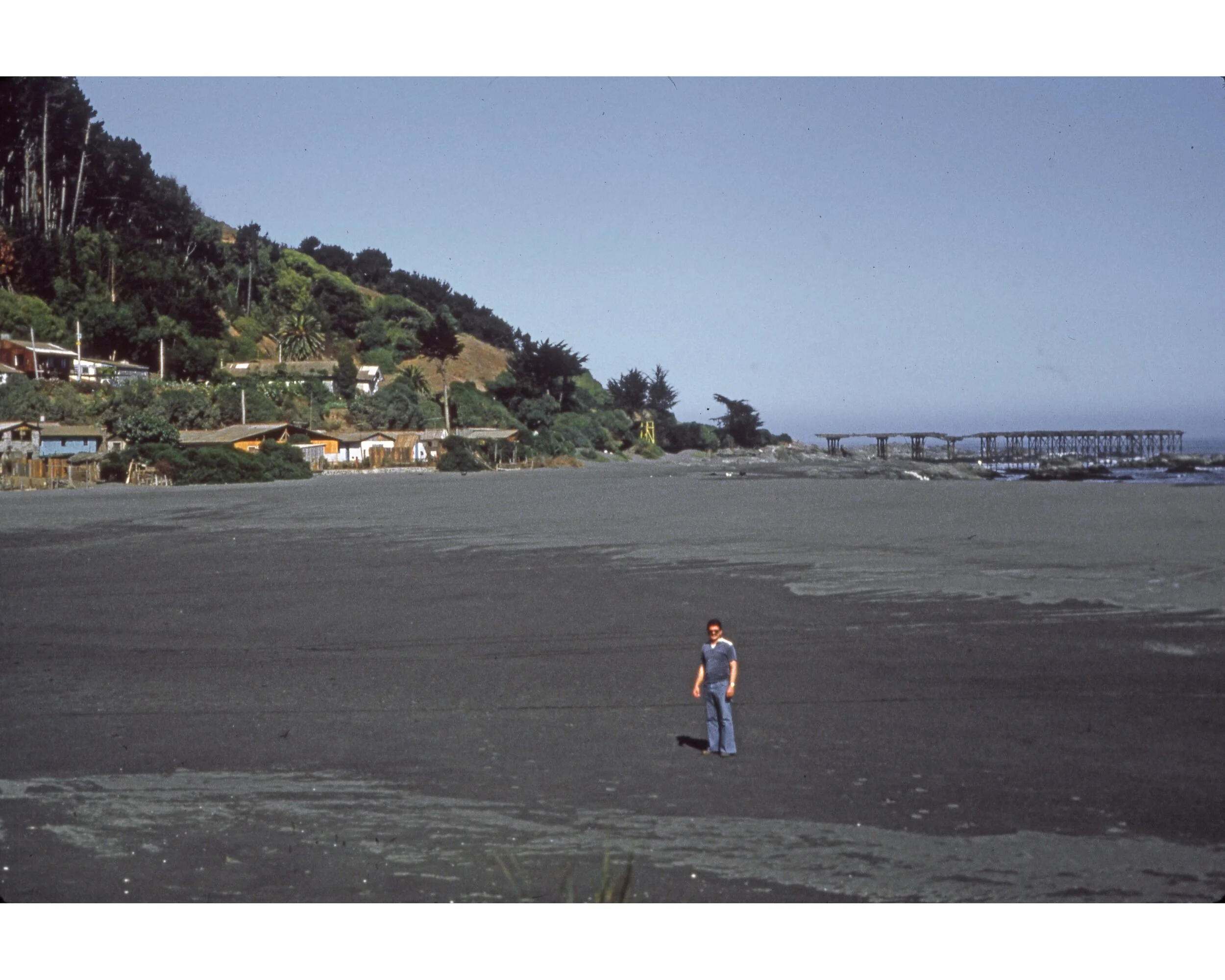  Febrero 1982	Llico (Curico)--La Playa a la boca con Muelle--Karl K. Kindel 