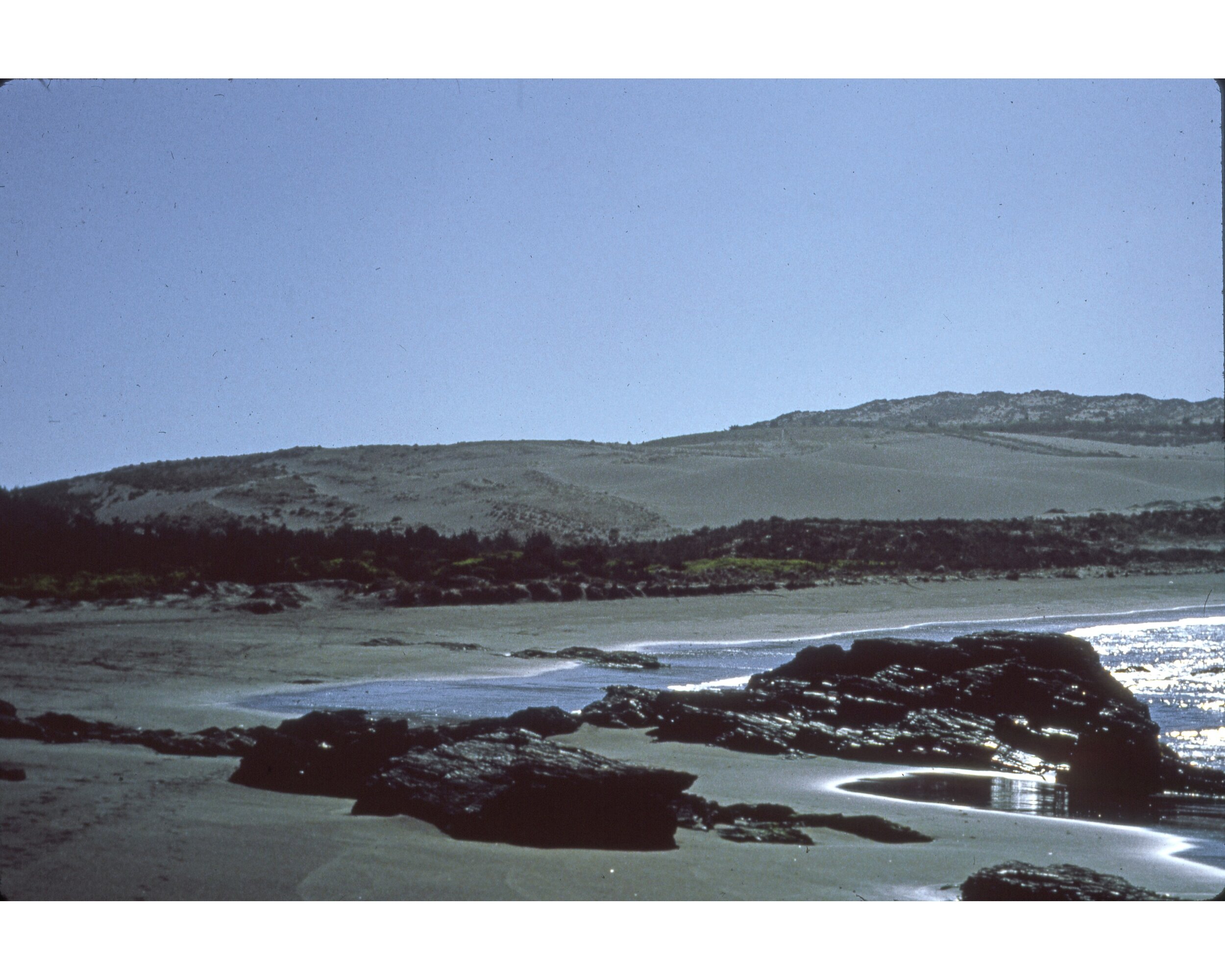  Febrero 1982	Llico (Curico)--Las Dunas desde la playa 