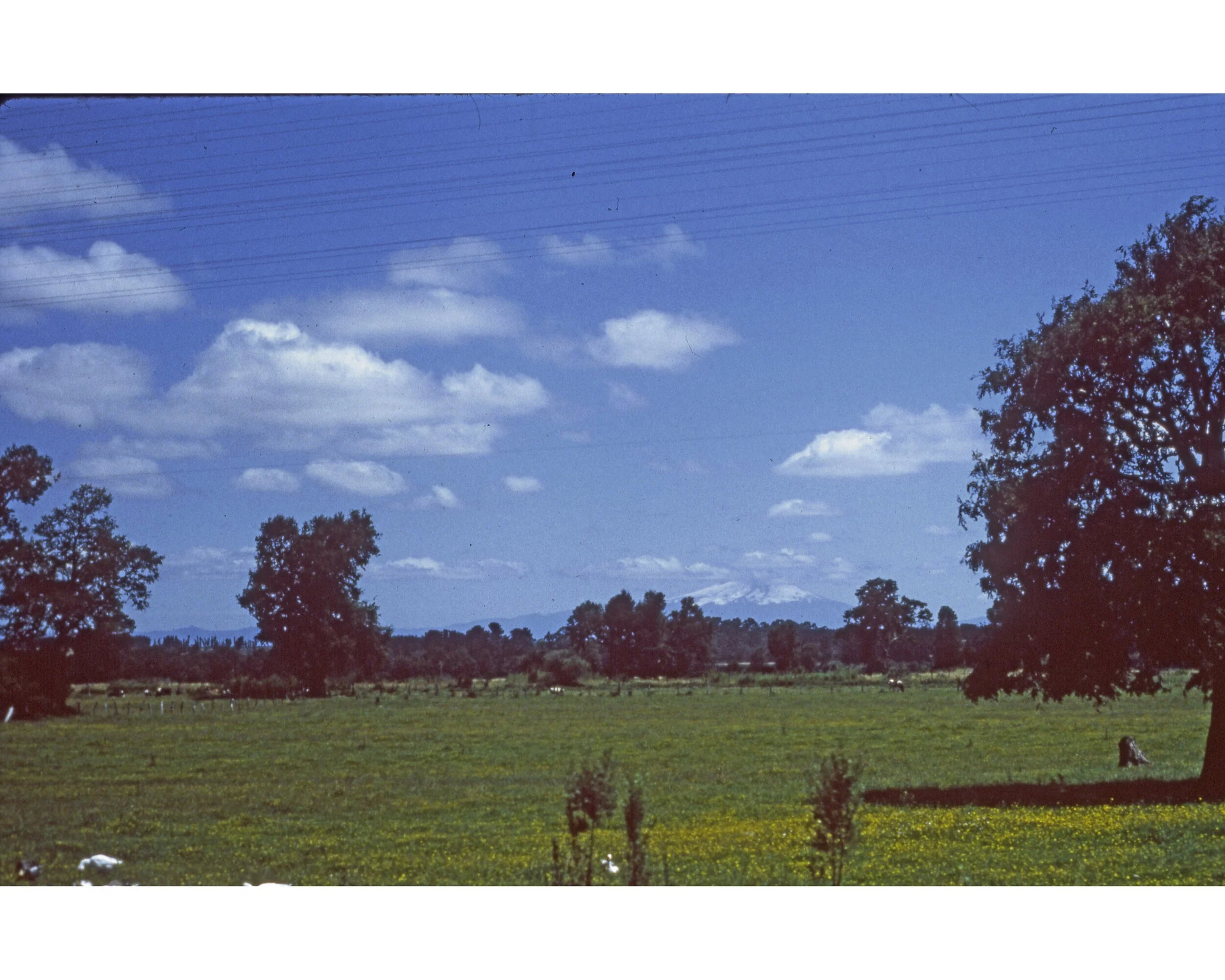  Febrero 1982	Temuco (cerca)--Volcan Villarrica  