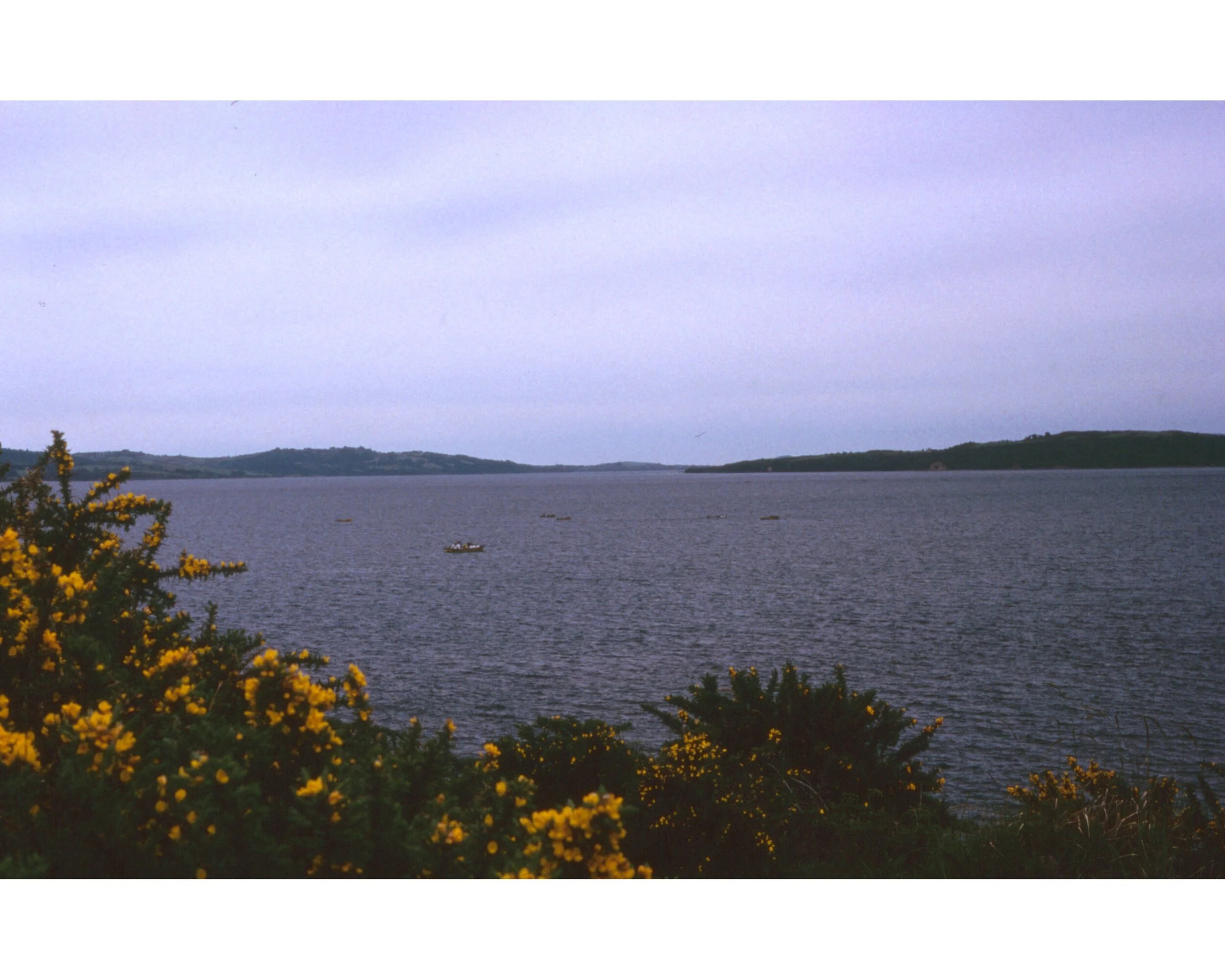  Noviembre 1990	Chiloe—Barcos 