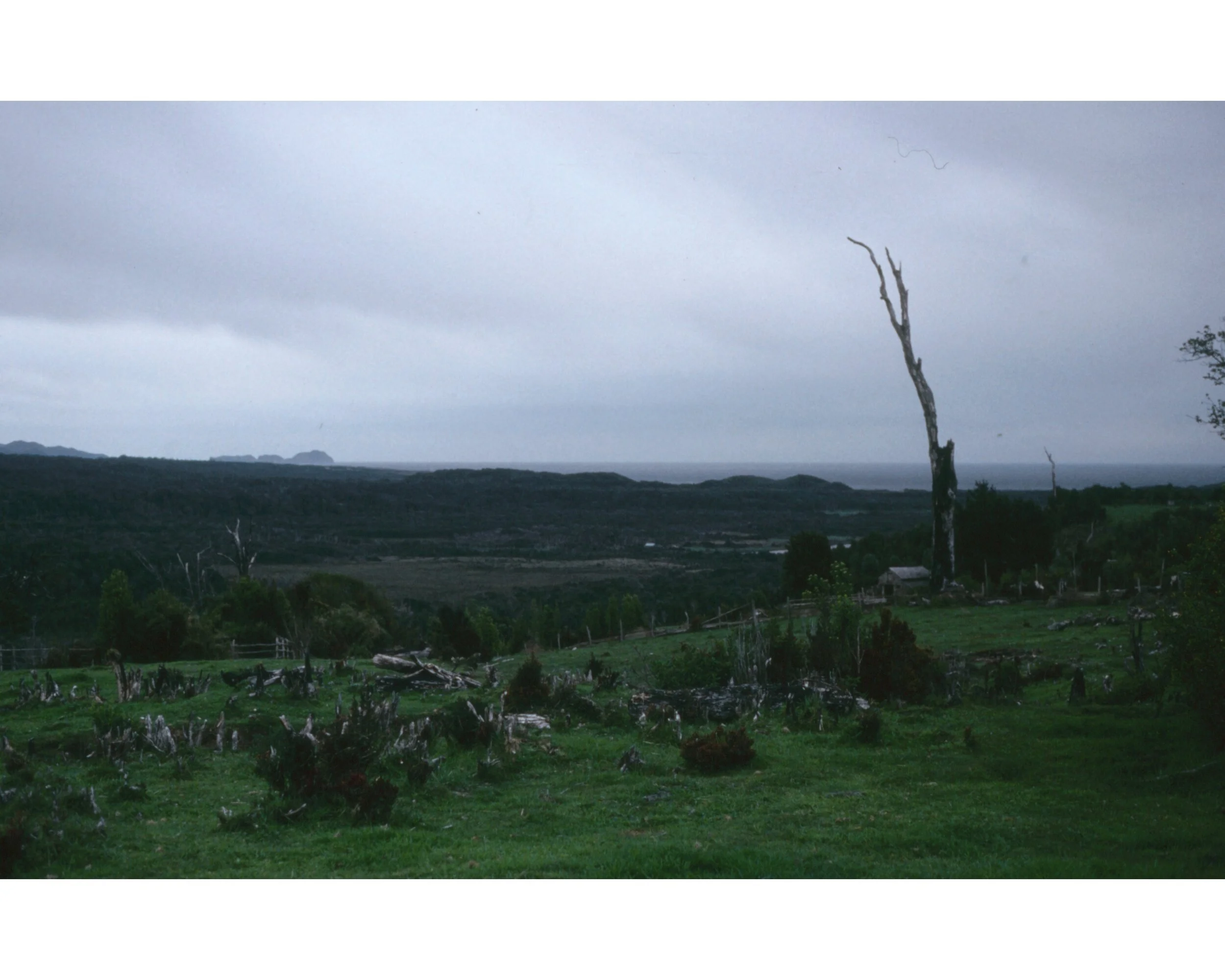  Noviembre 1990	Lago Llanquihue—Camino 
