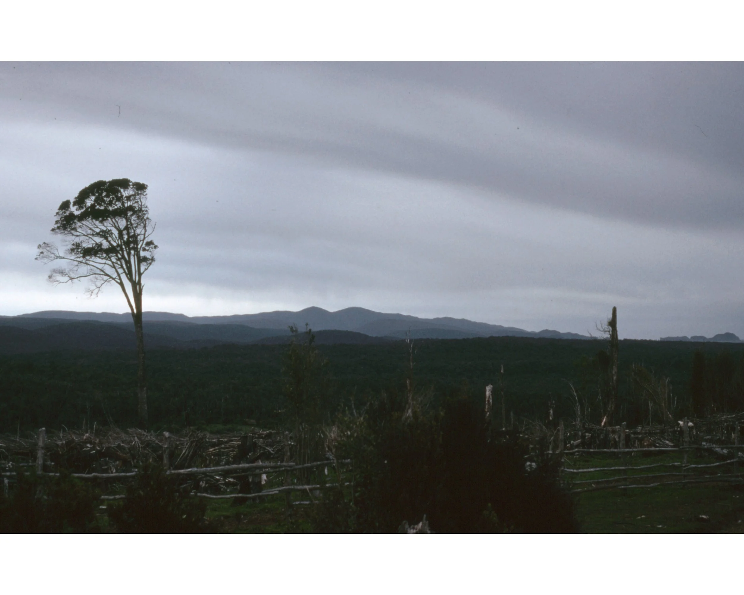  Noviembre 1990	Lago Llanquihue—Camino 