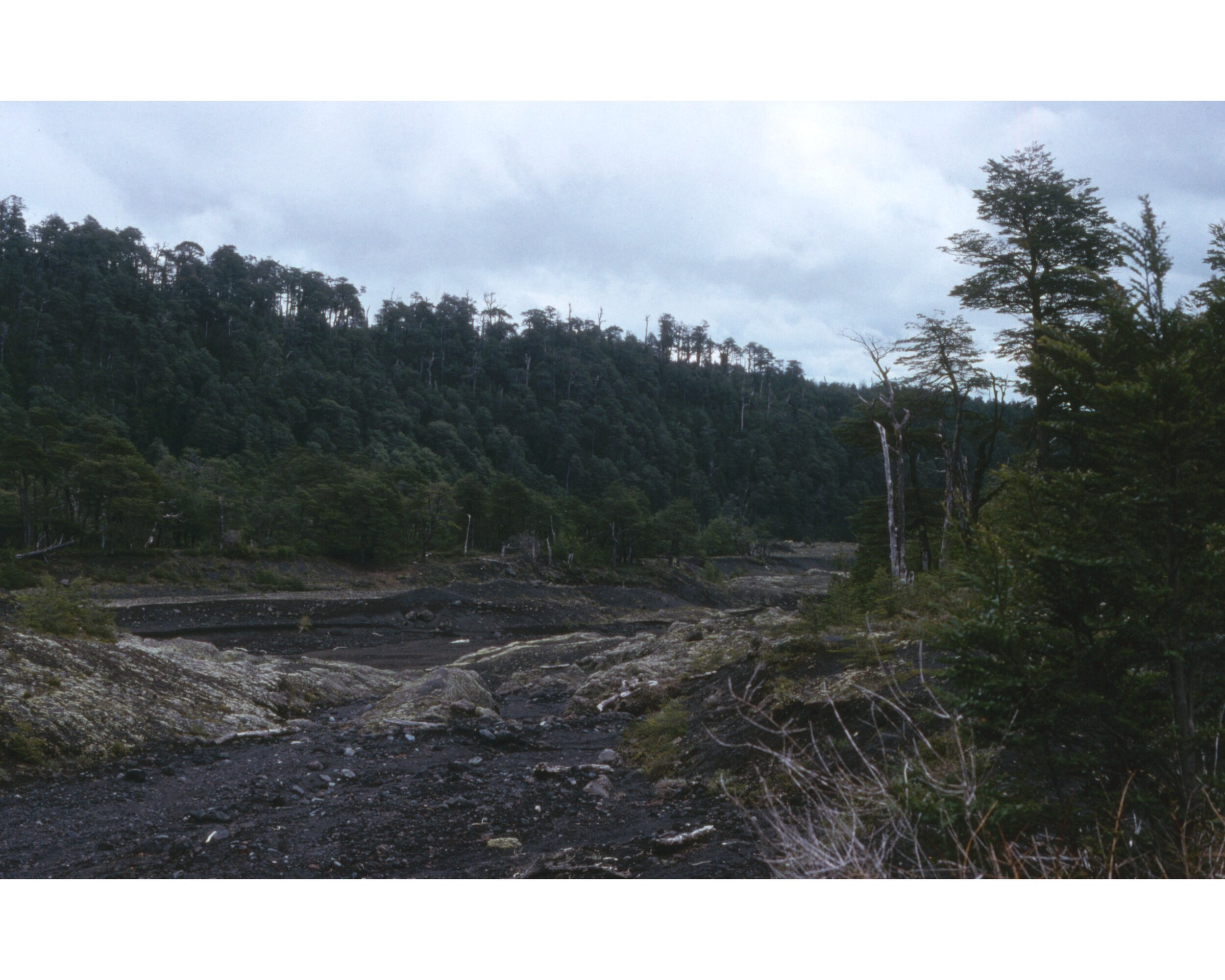  Noviembre 1990	Cerca Villarica—Rio fluvial 