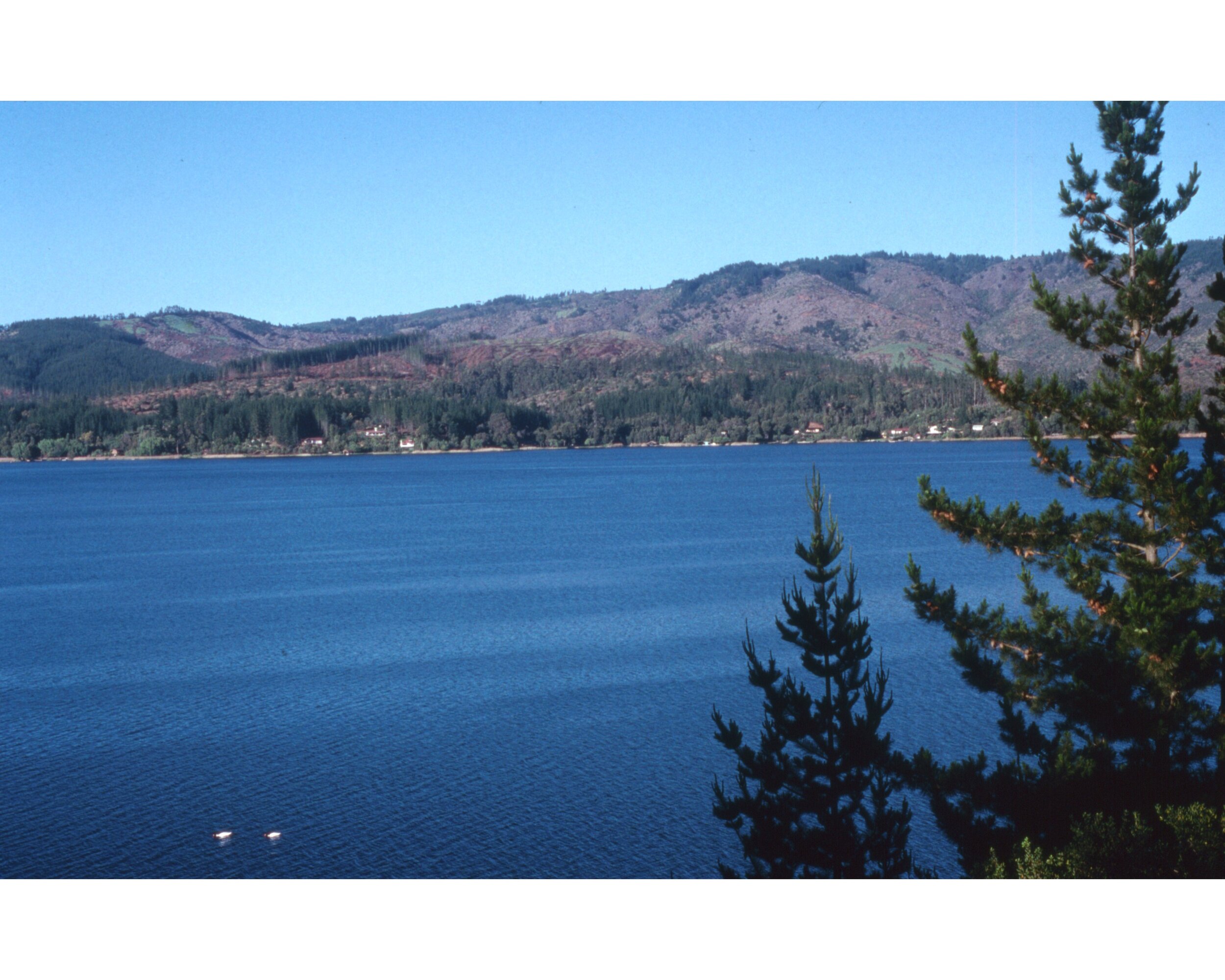  Noviembre 1990	Lago Vichuquen 