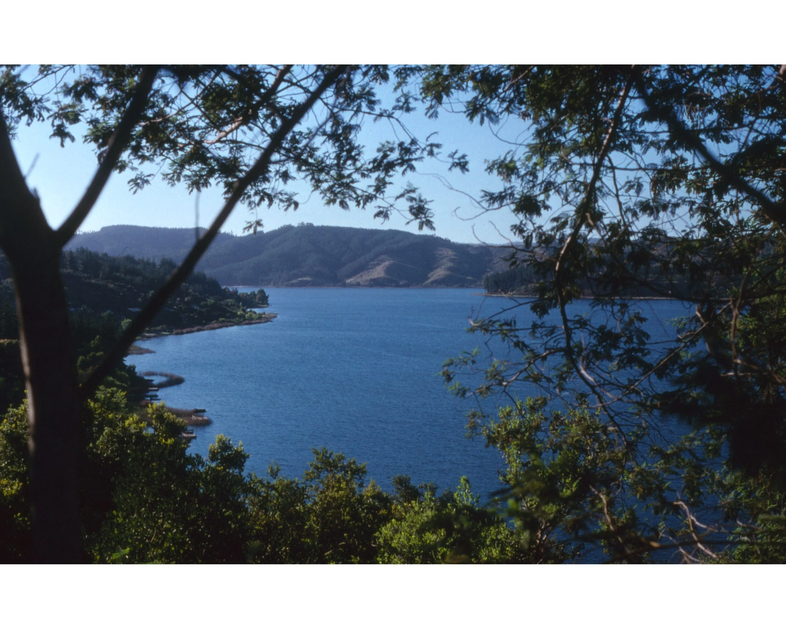  Noviembre 1990	Lago Vichuquen 