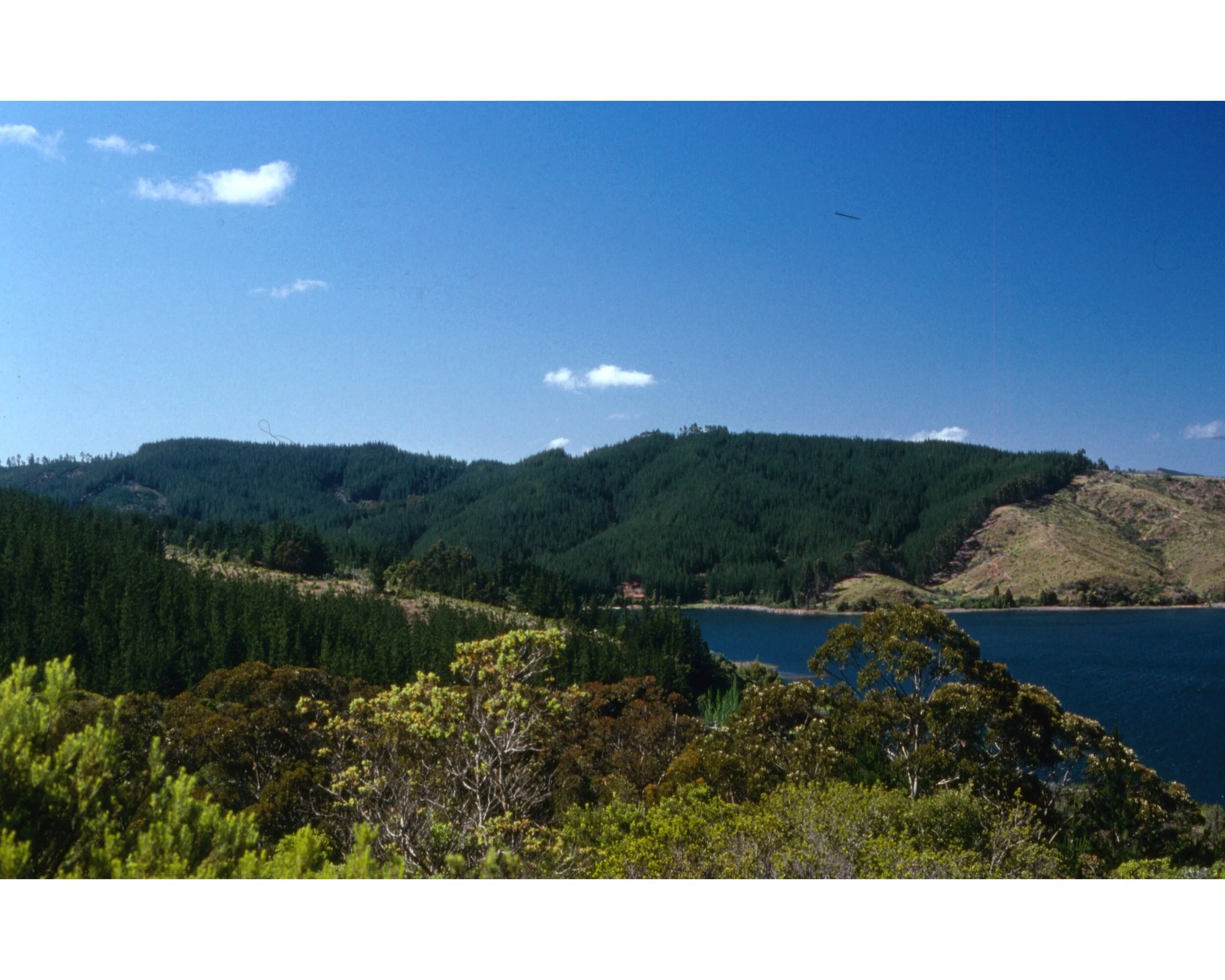  Noviembre 1990	Lago Vichuquen 