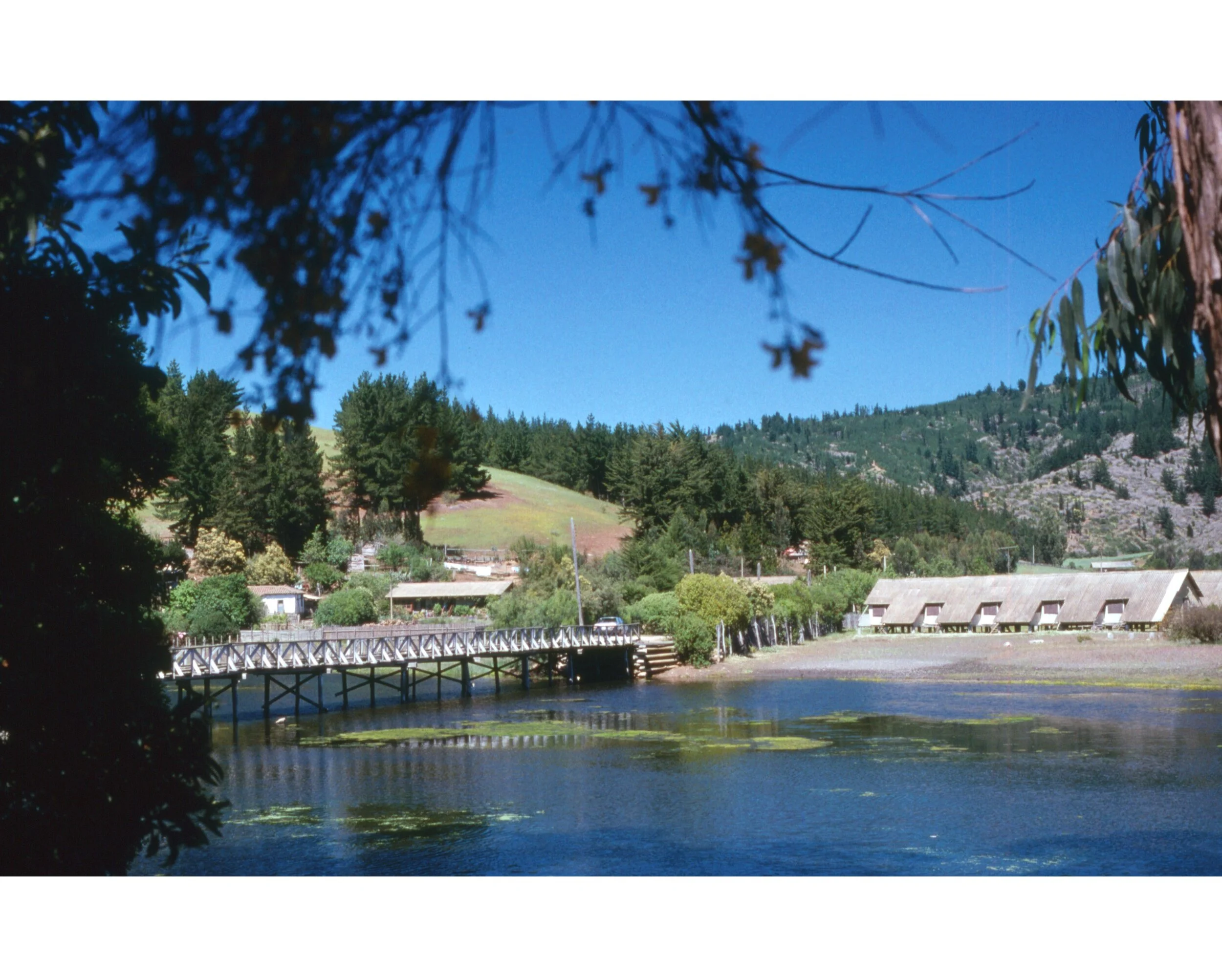  Noviembre 1990	LLico (Curico)-Vivero Forestal—Puente  
