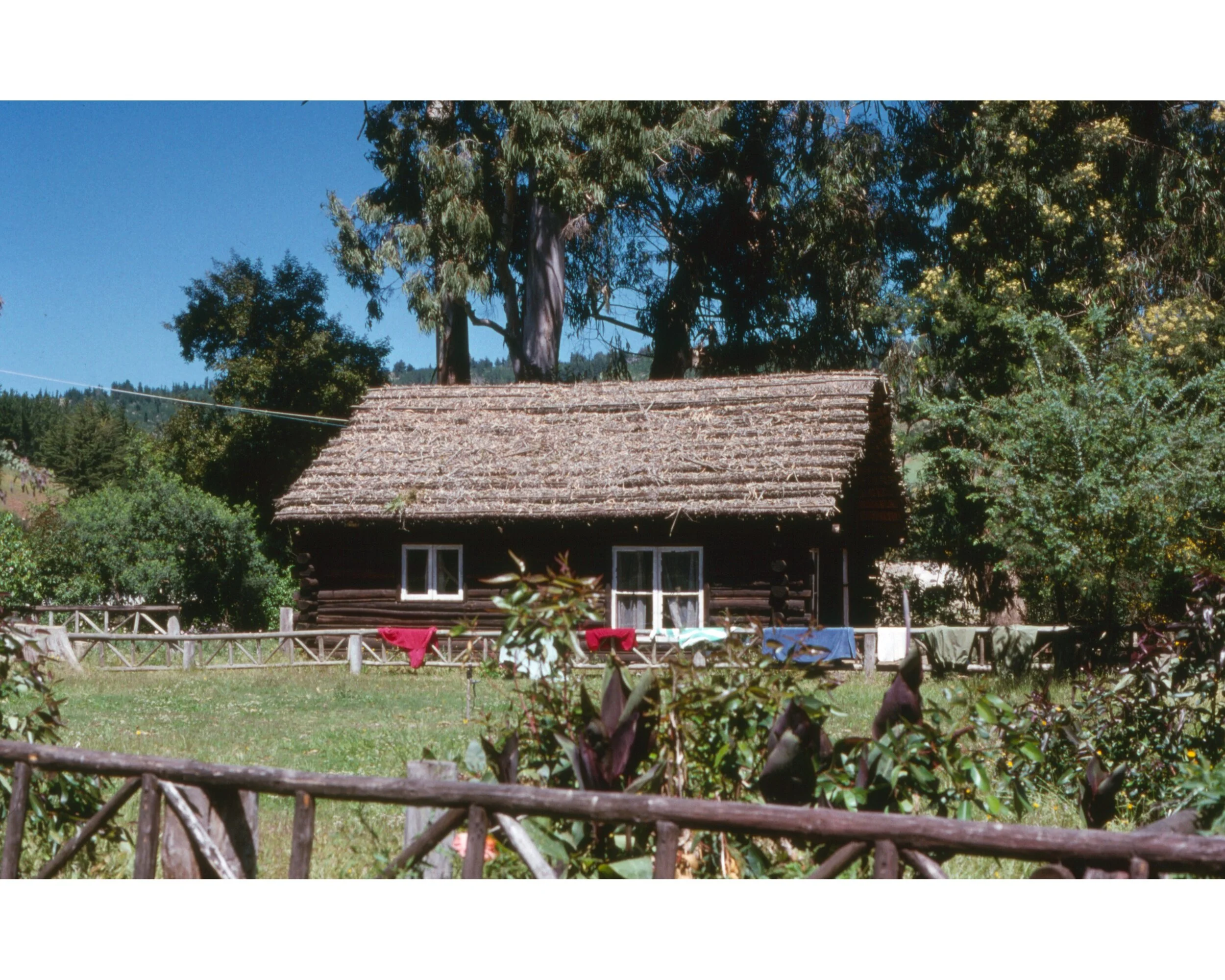  Noviembre 1990	LLico (Curico)--Vivero Forestal—Cabina 