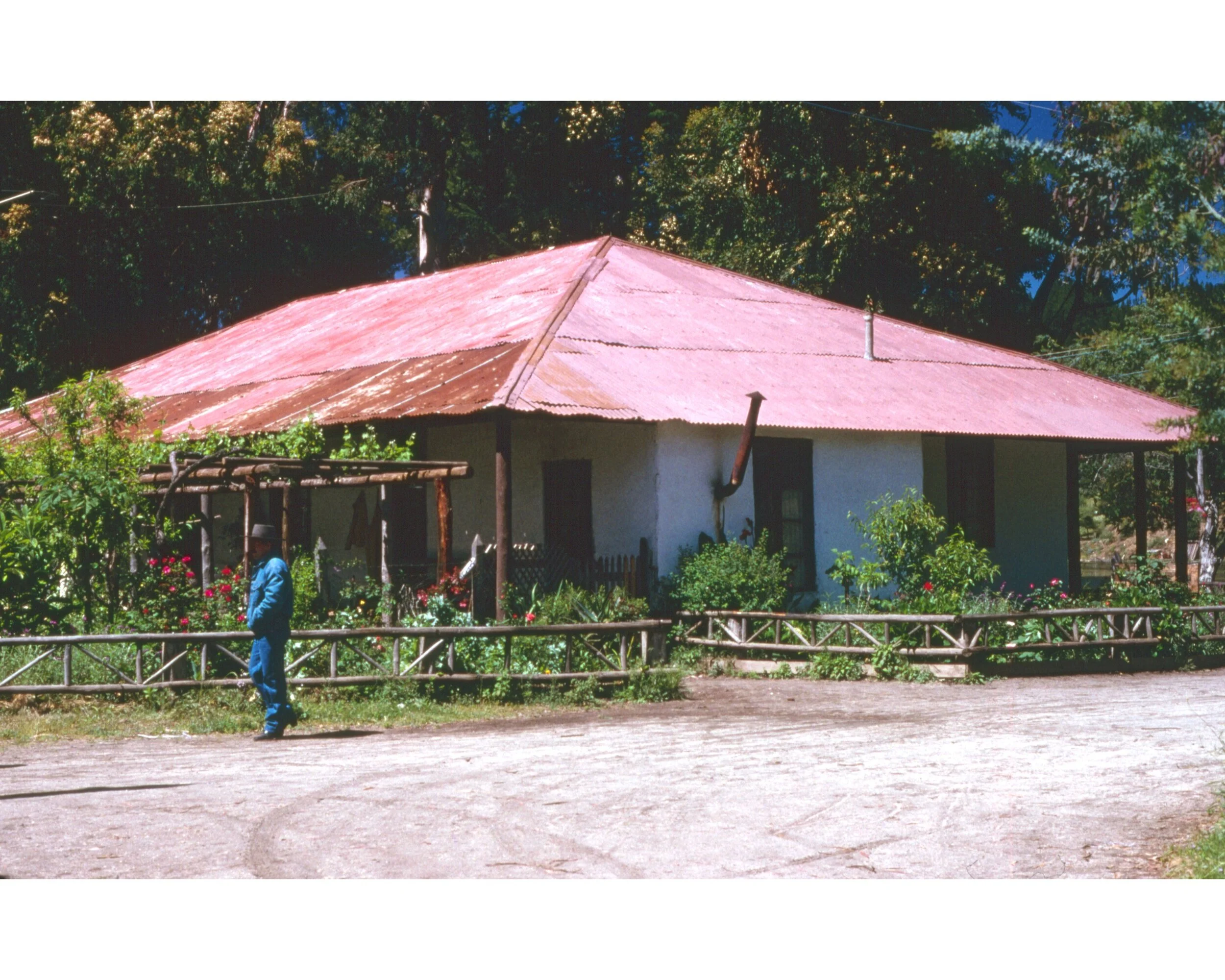 Noviembre 1990	LLico (Curico)--Vivero Forestal—Casa Adinistracion  