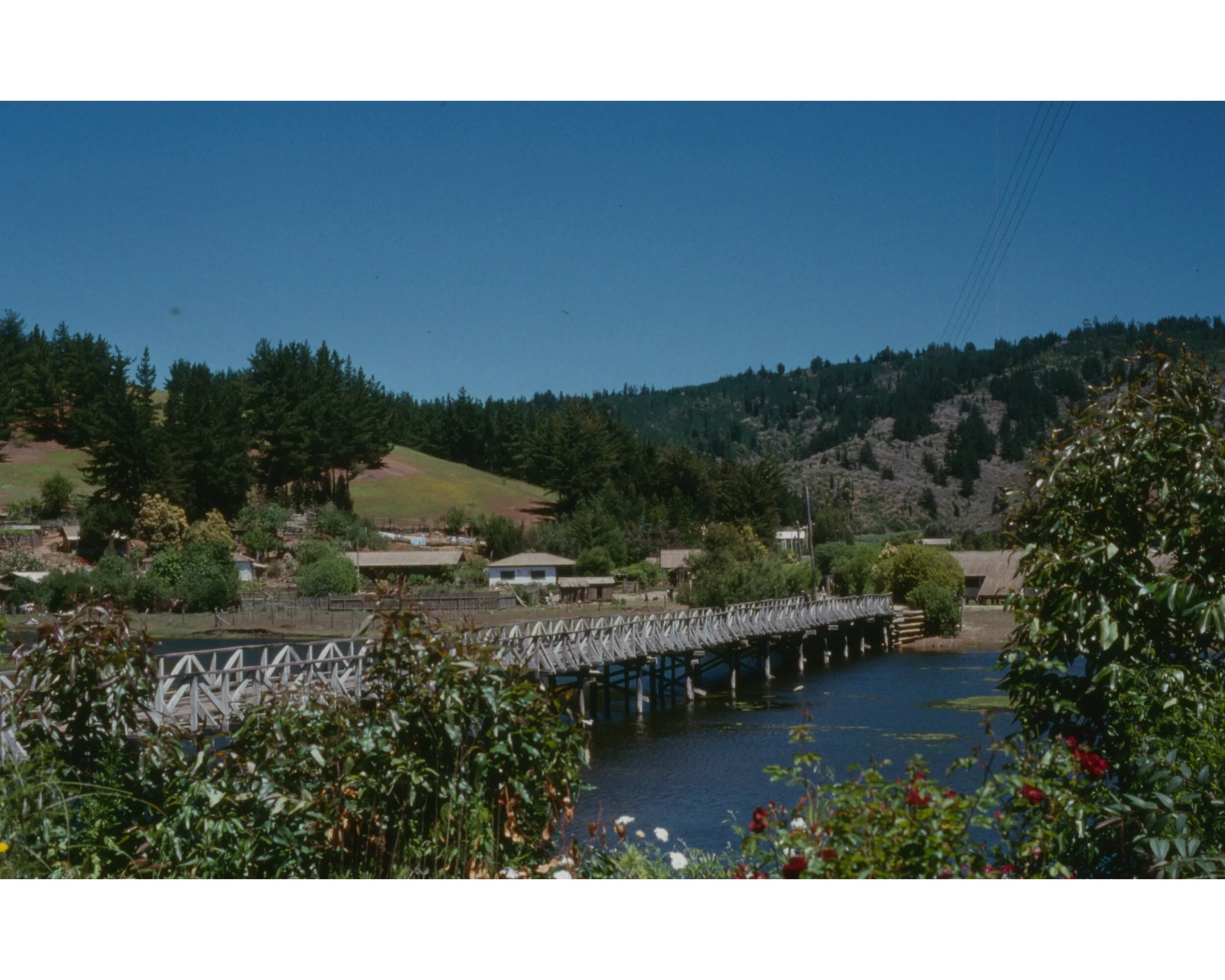  Noviembre 1990	LLico (Curico)--Vivero Forestal—El Puente 