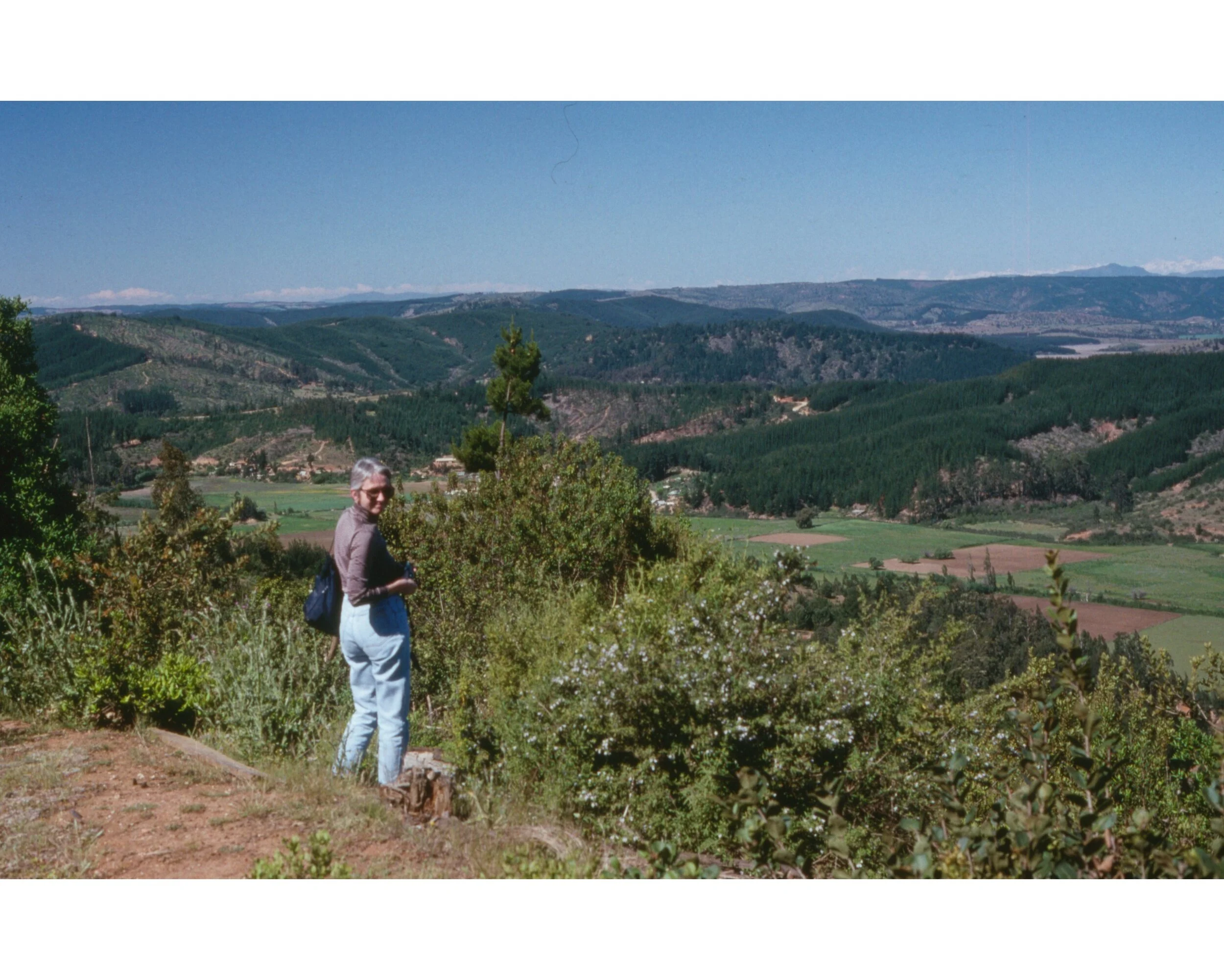  Noviembre 1990	LLico (Curico) desde el cumbre hacia Iloca—Carrol Kindel  