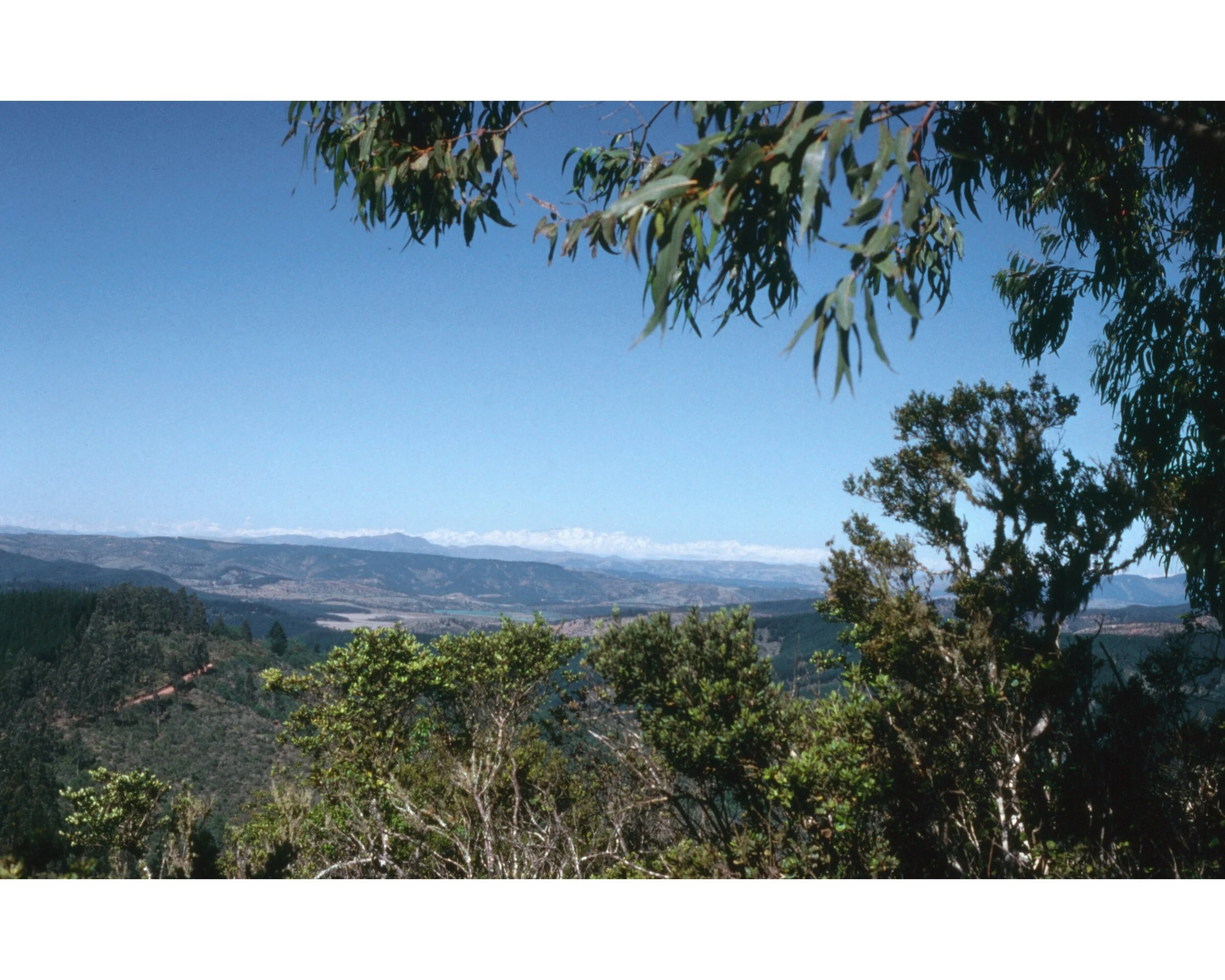  Noviembre 1990	La Cordillera desde el cumbre entre Llico (Curico) y Iloca 