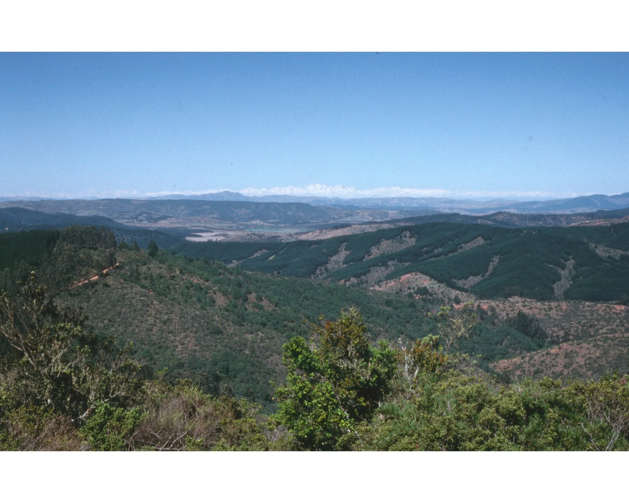 Noviembre 1990	LLico (Curico) desde el cumbre hacia Iloca con la Cordillera  