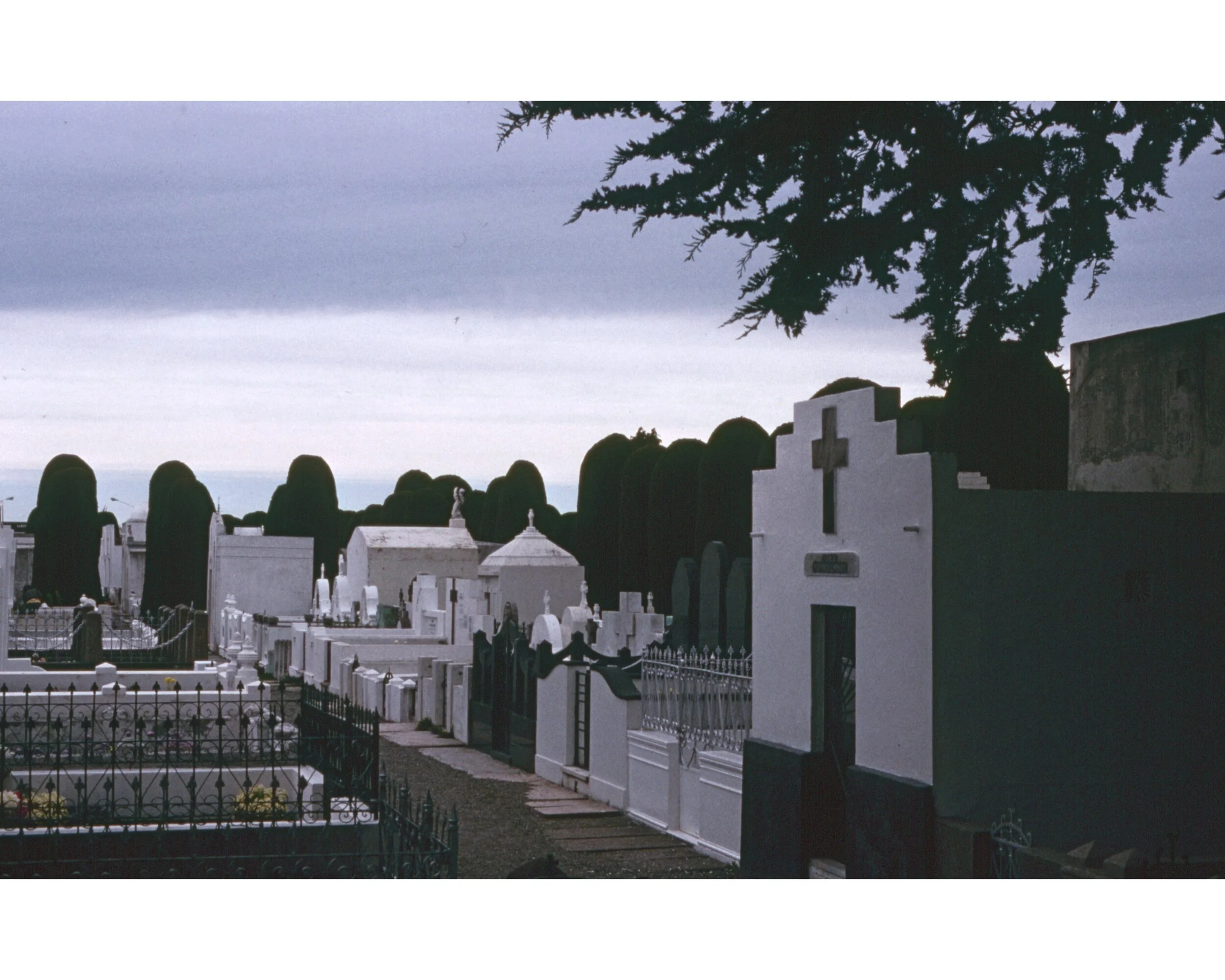  Noviembre 1990	Punta Arenas—Campo Santo  
