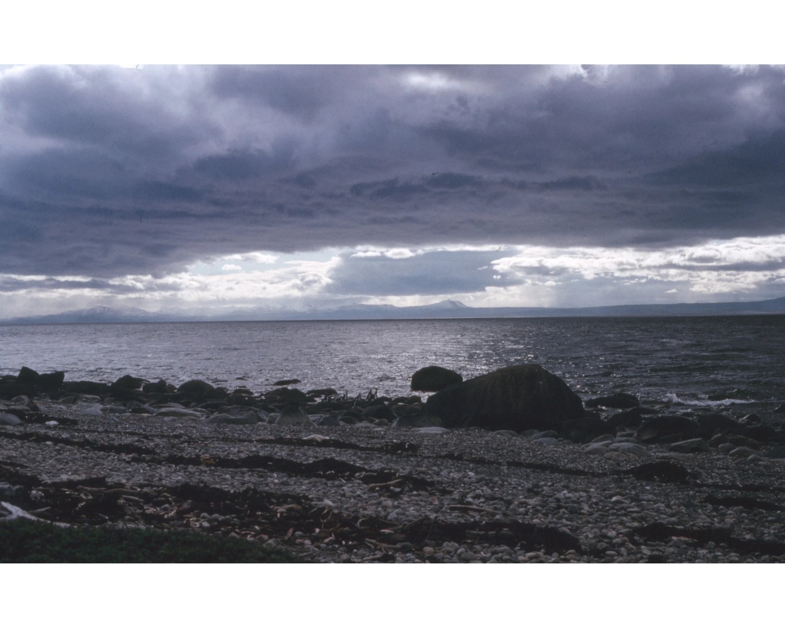  Noviembre 1990	Punta Arenas—Penguinos 