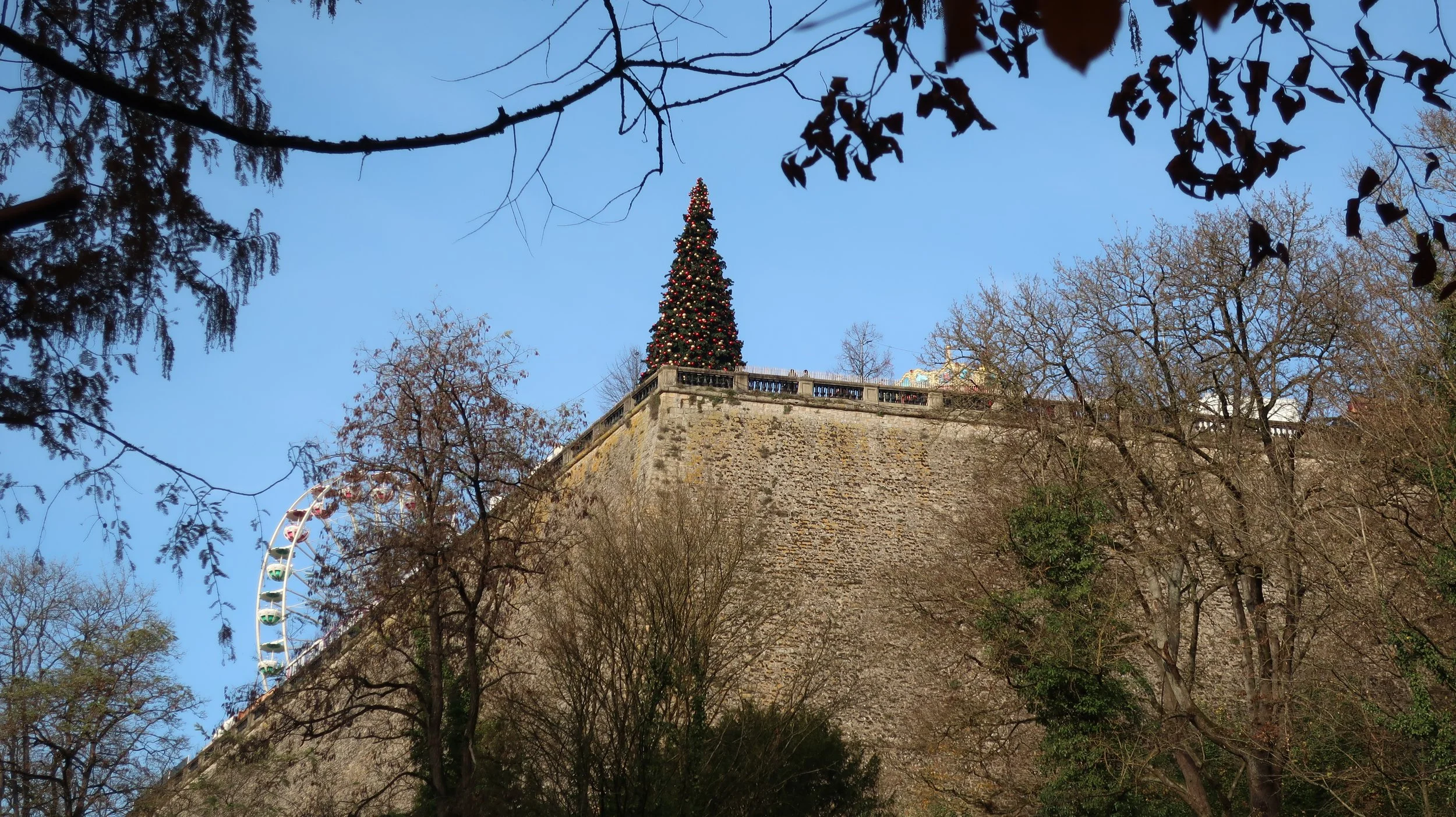  Luxembourg 2021--Holiday Tree in Place Gelle Fra (Constitution) from Petrusse Valley 