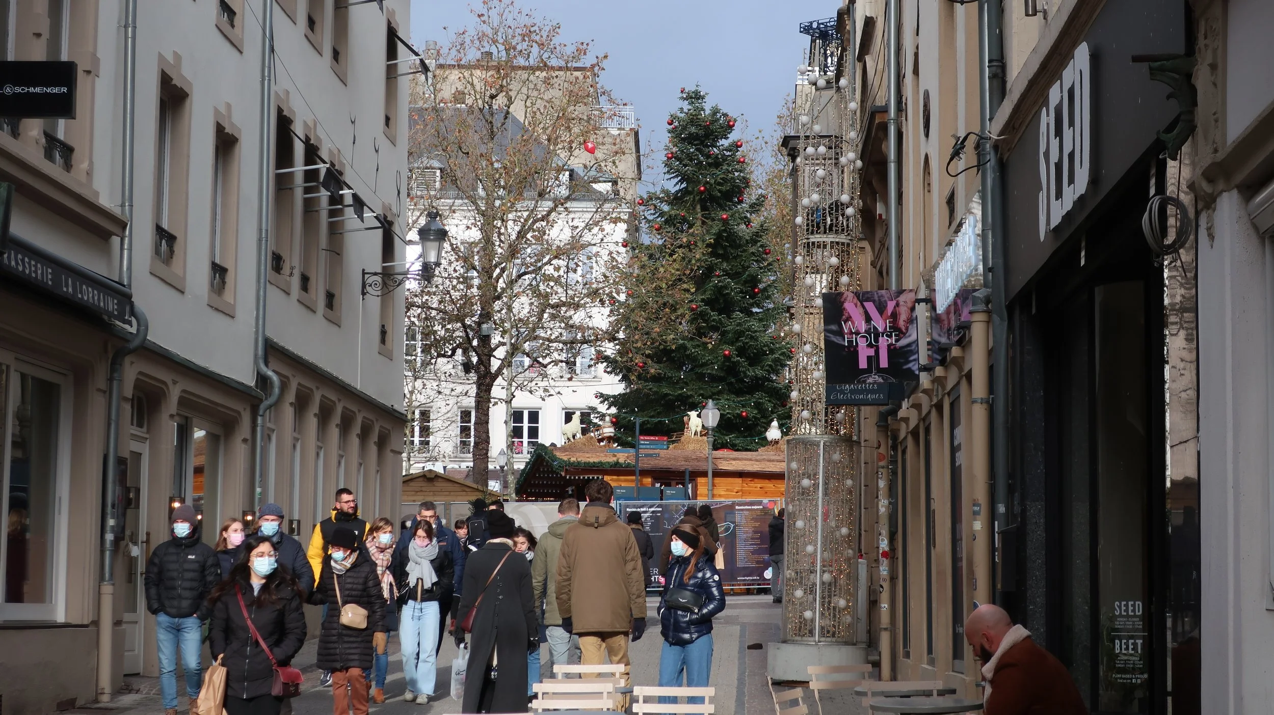  Luxembourg 2021—Place d’ Armes Tree from Rue Chimay 