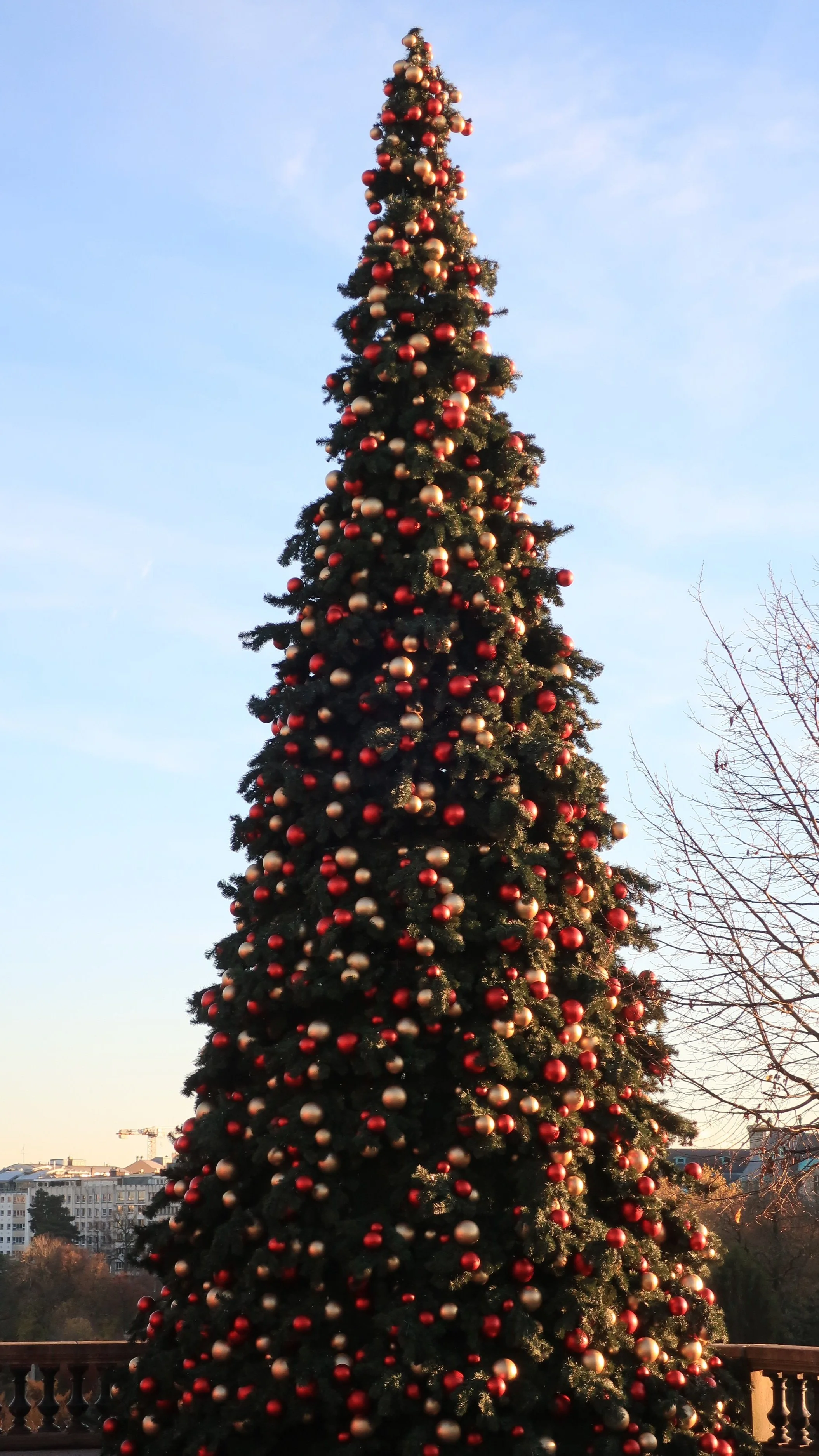  Luxembourg 2021--Gelle Fra Place (Constitution)--Holiday Decorations--Huge Christmas Tree 