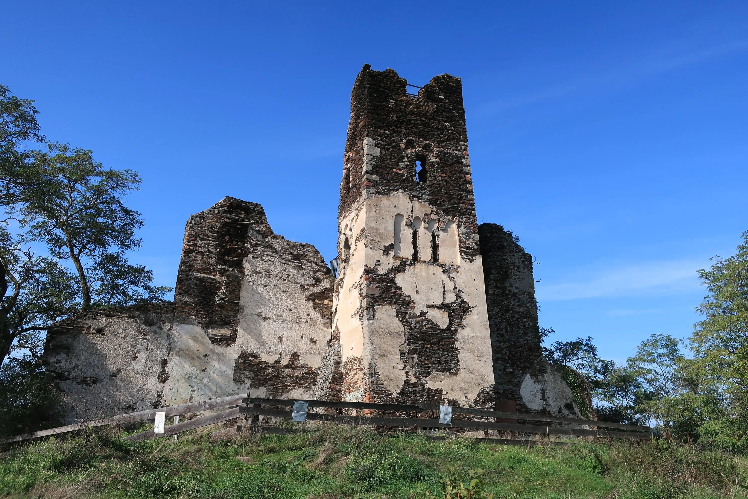  Germany 2023--Kindel 50th Anniversary Trip--Wolf--the ruins above town 
