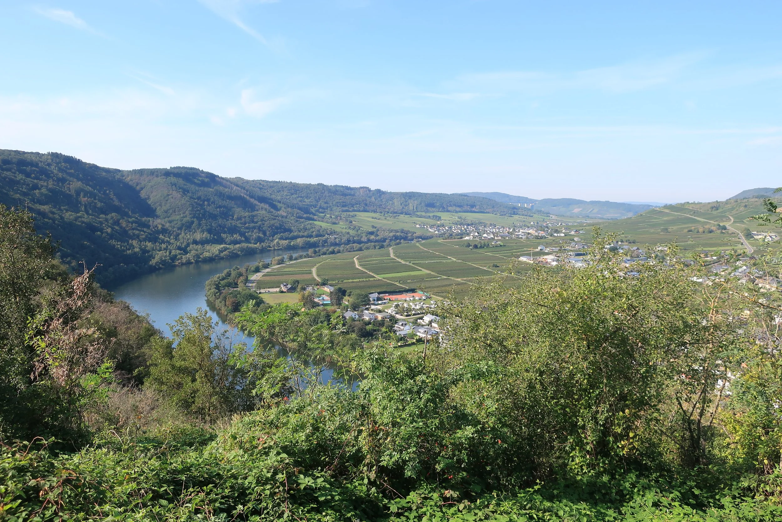  Germany 2023--Kindel 50th Anniversary Trip--Wolf--View from the ruins above town 