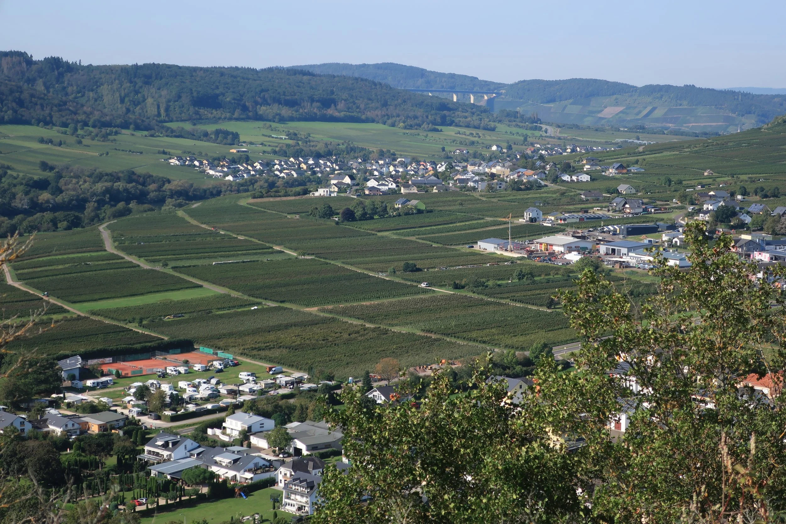  Germany 2023--Kindel 50th Anniversary Trip--Wolf--View from the ruins above town 