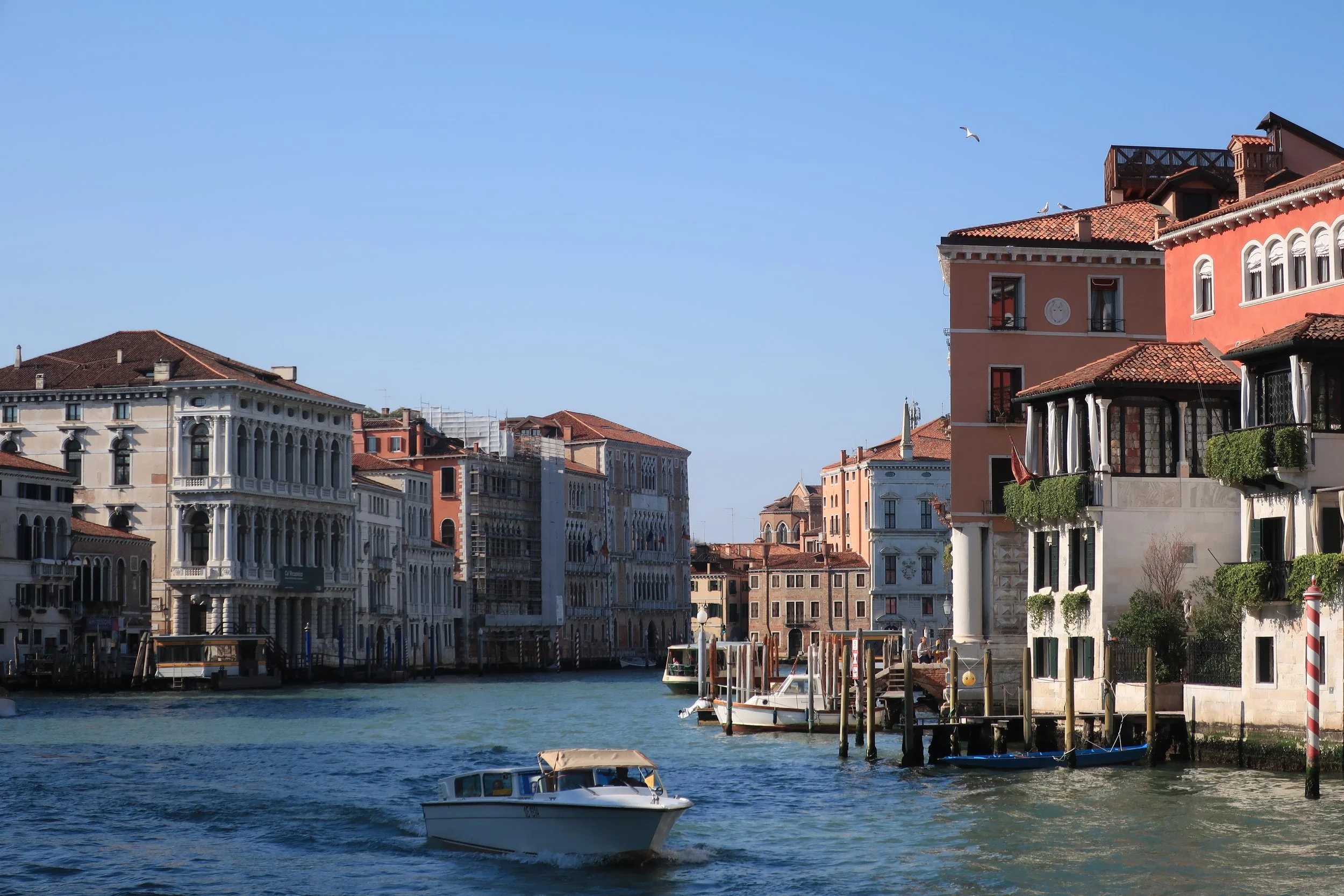  Venice 2023-- Gran Canal from near the Academia Bridge 