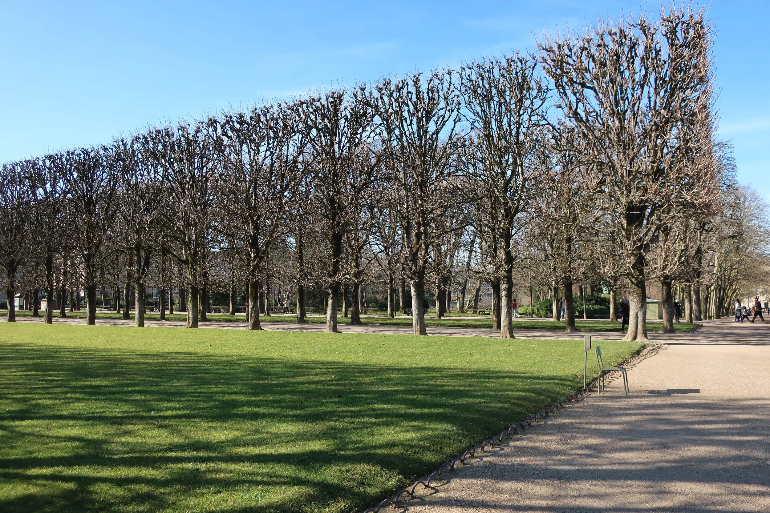  Paris--Spring 2025--Luxembourg Gardens in the St. Germain des Pres neighborhood, 
