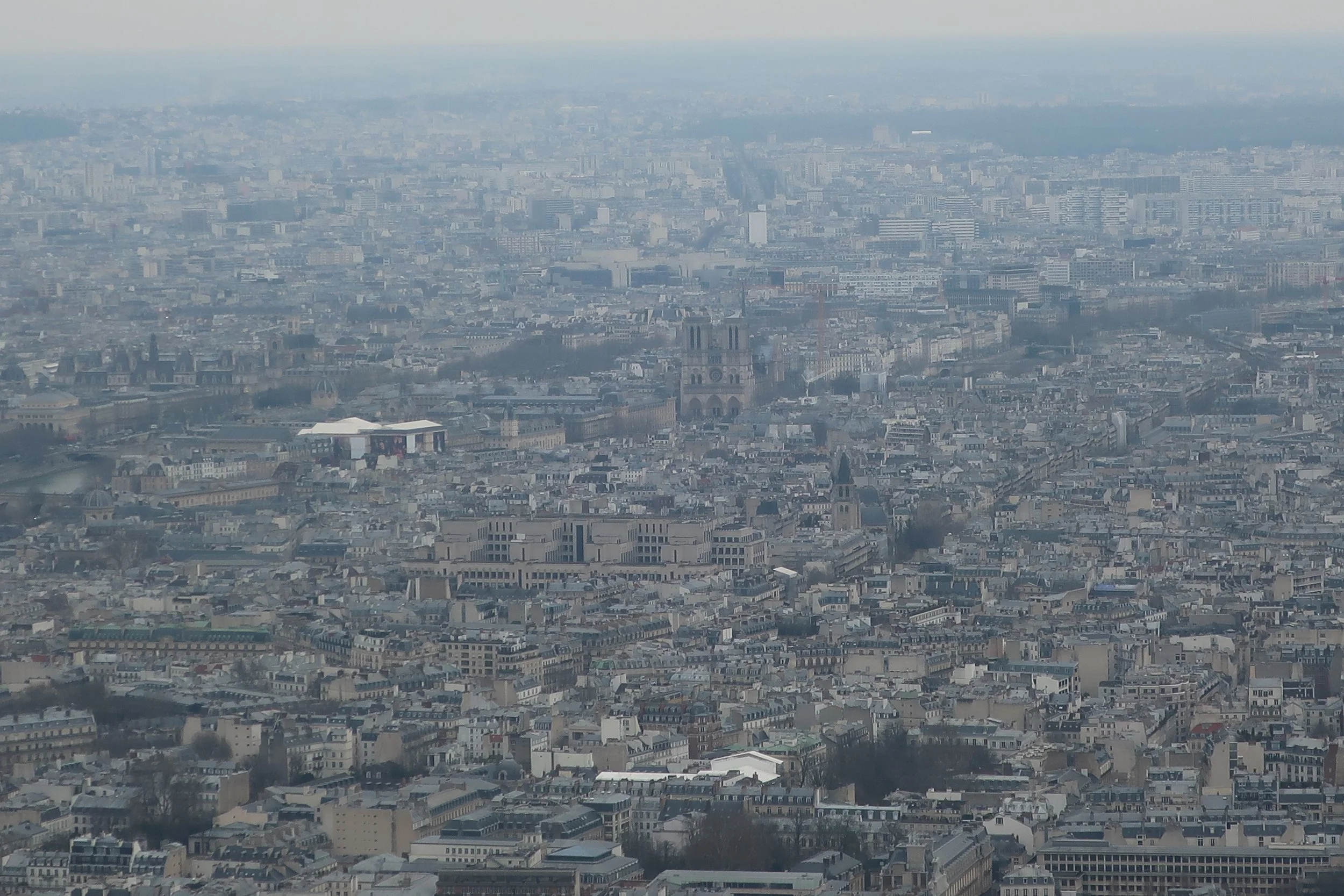  Paris--Eiffel Tower Spring 2025--View from top (1000 feet)--The Seine and Notre Dame 