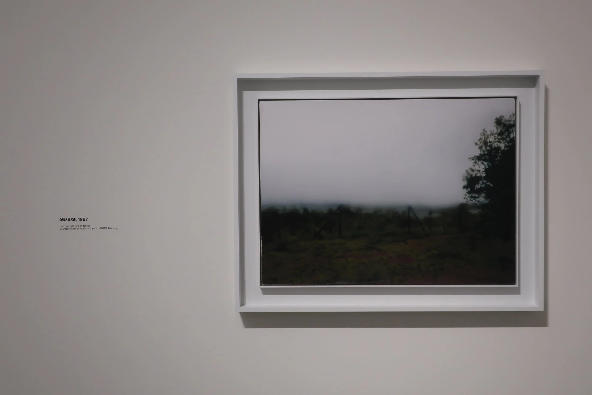  France 2026--Paris--Louis Vuitton Fondation--Gerhard Richter Retrospective--Paintings--He was known for painting from photos and illustrations and often making blurry paintings.  Check focus by looking at the Titles in the photo 