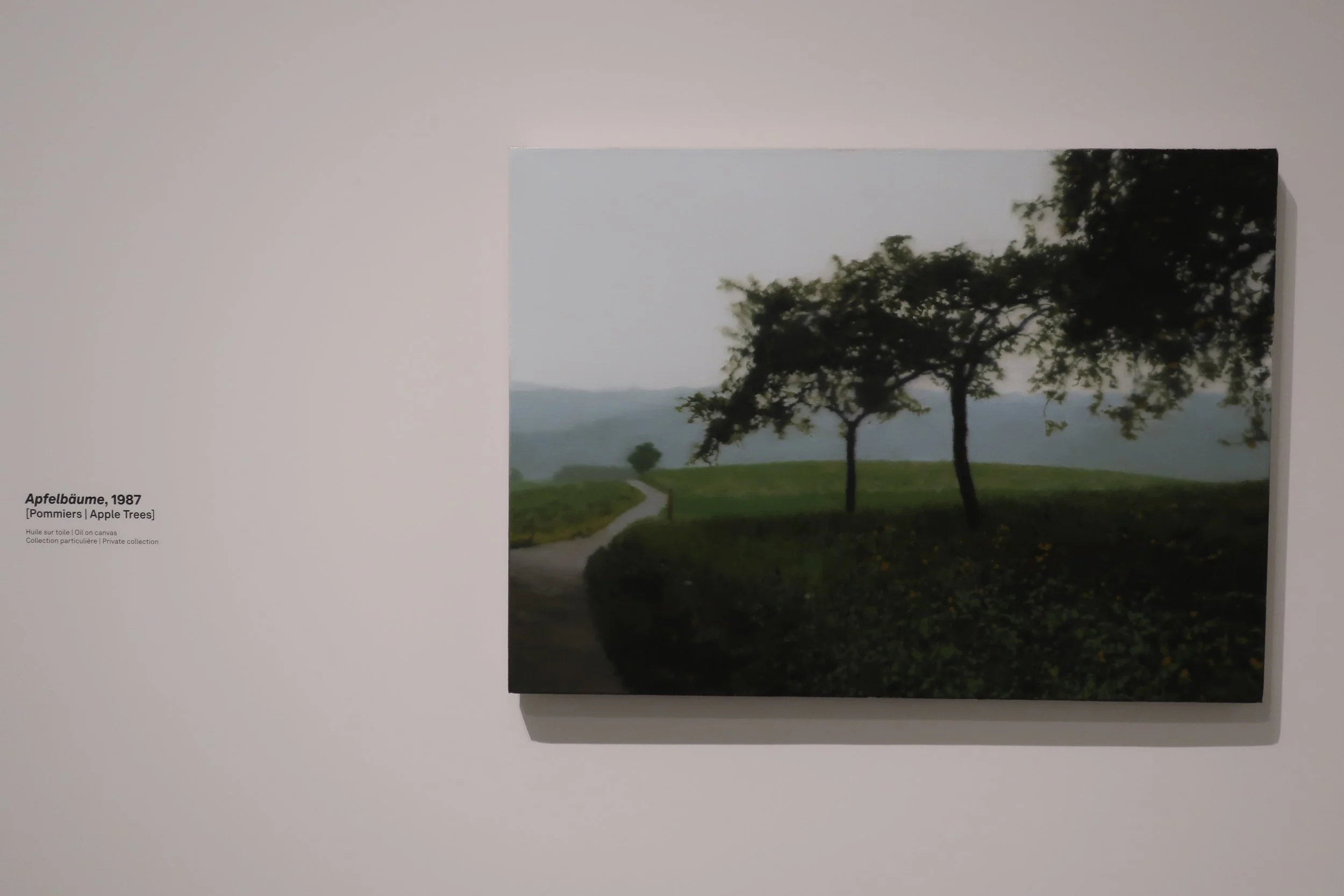  France 2026--Paris--Louis Vuitton Fondation--Gerhard Richter Retrospective--Paintings--He was known for painting from photos and illustrations and often making blurry paintings.  Check focus by looking at the Titles in the photo 