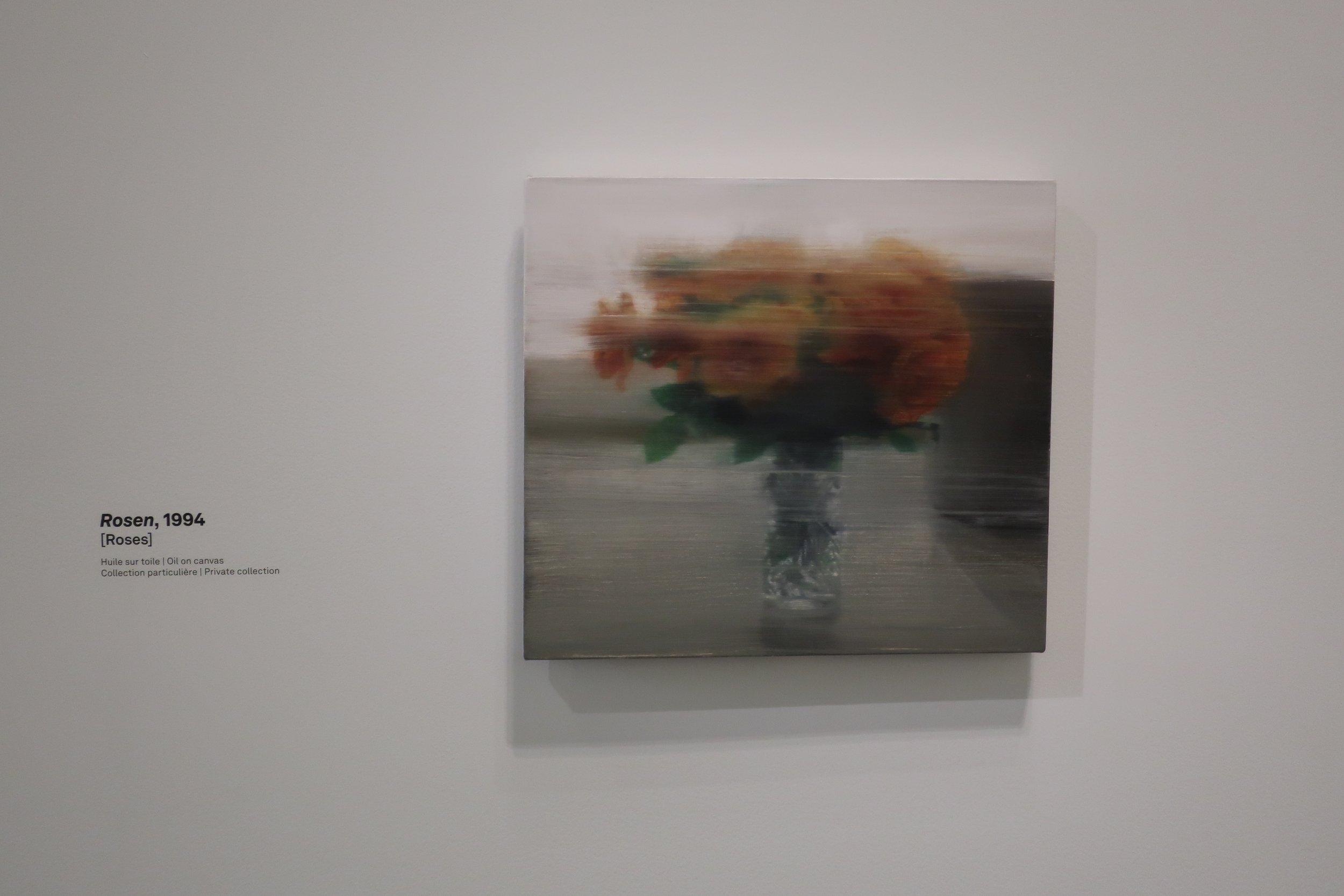  France 2026--Paris--Louis Vuitton Fondation--Gerhard Richter Retrospective--Paintings--He was known for painting from photos and illustrations and often making blurry paintings.  Check focus by looking at the Titles in the photo 