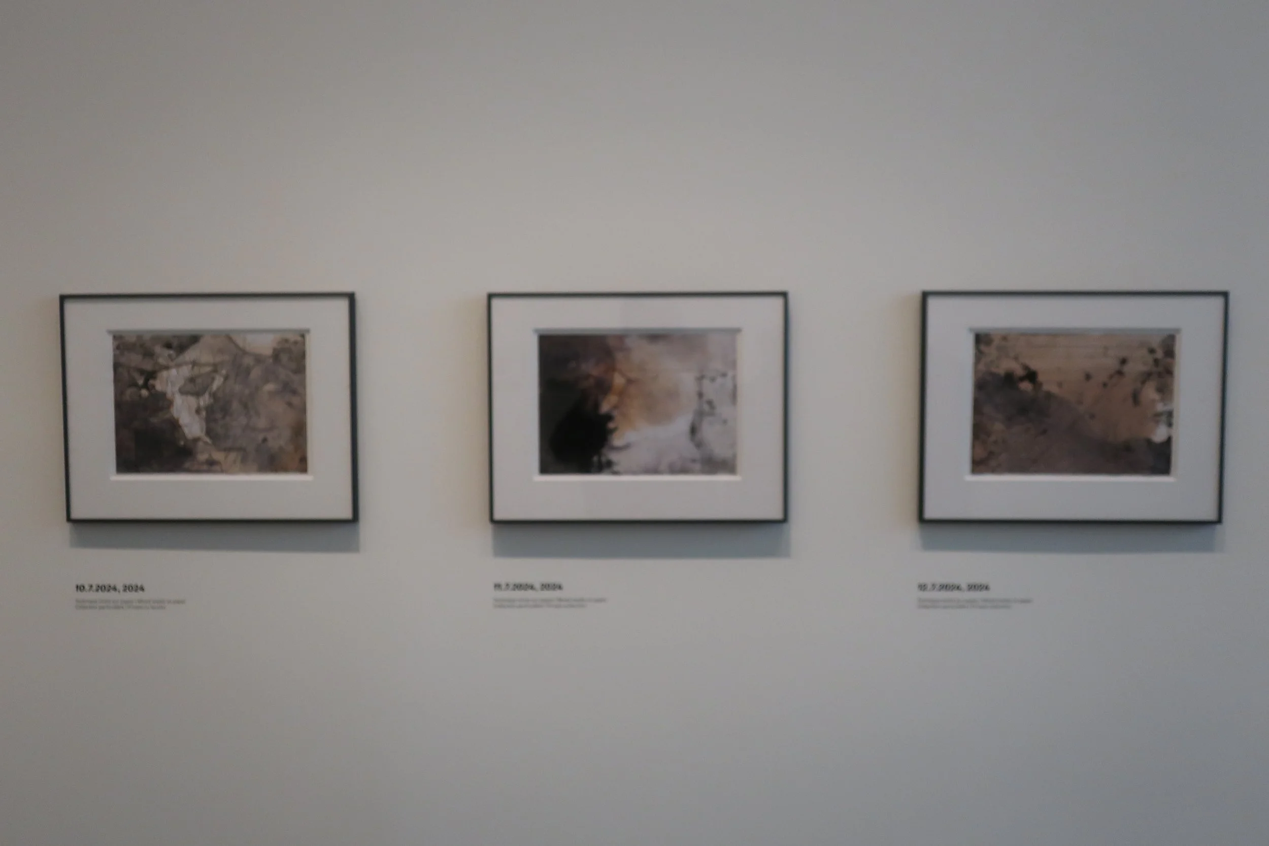  France 2026--Paris--Louis Vuitton Fondation--Gerhard Richter Retrospective--Paintings-- Drawings after he stopped painting completely 