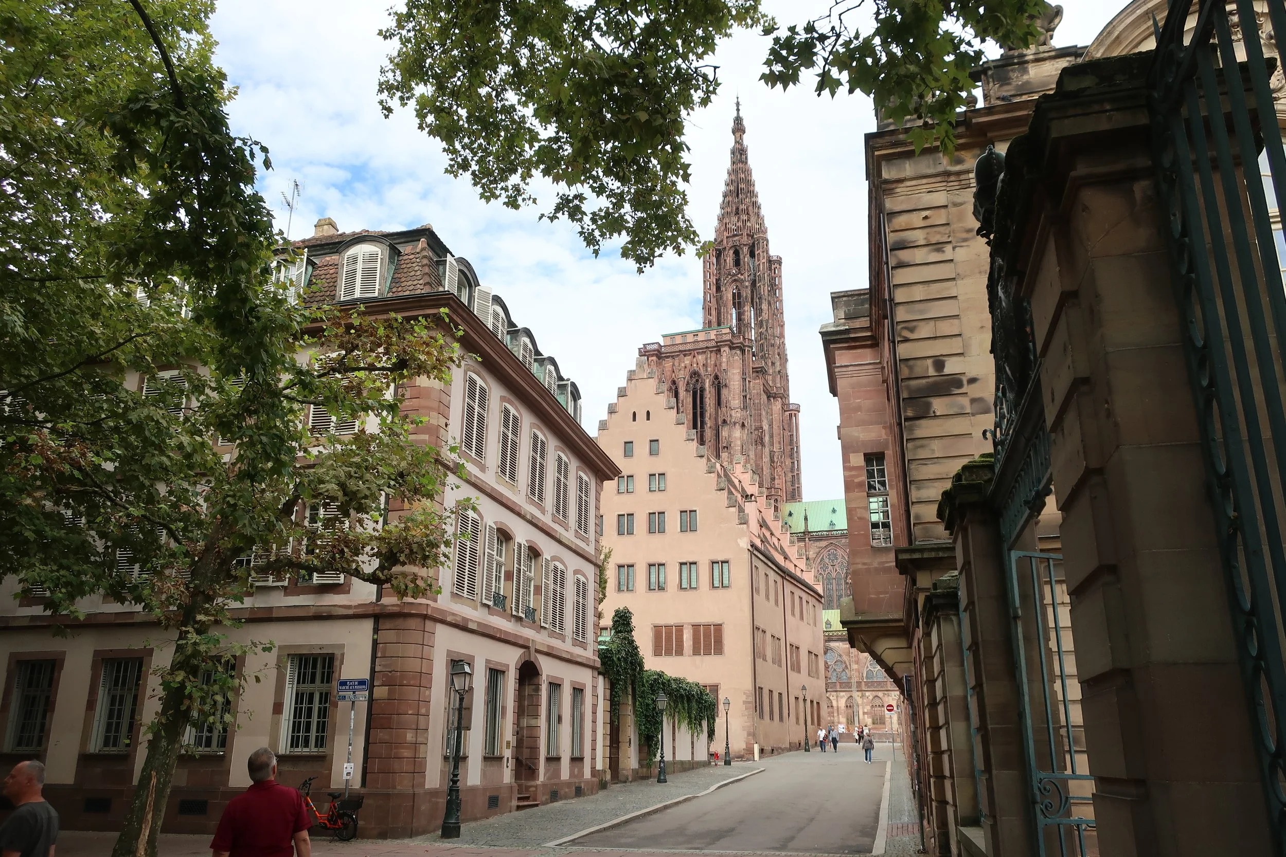  France--Strasbourg 2025--Notre Dame Cathedral from next to the Rohan Museum on the river Ill 