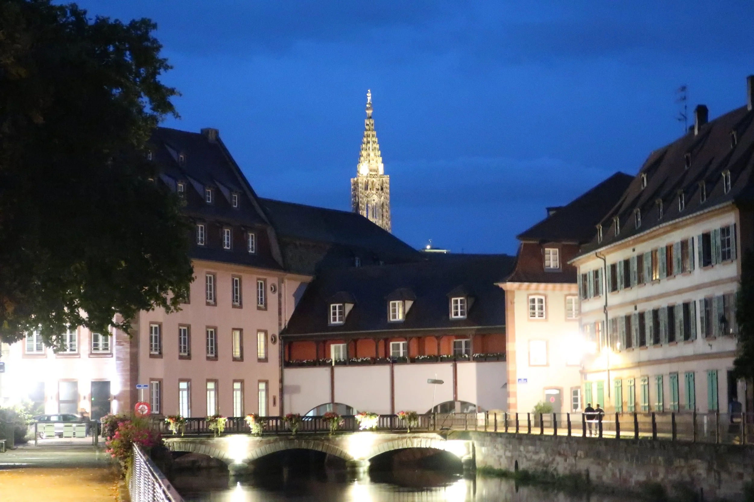 France--Strasbourg 2025--Petite France canal at night with Notre Dame Cathedral 